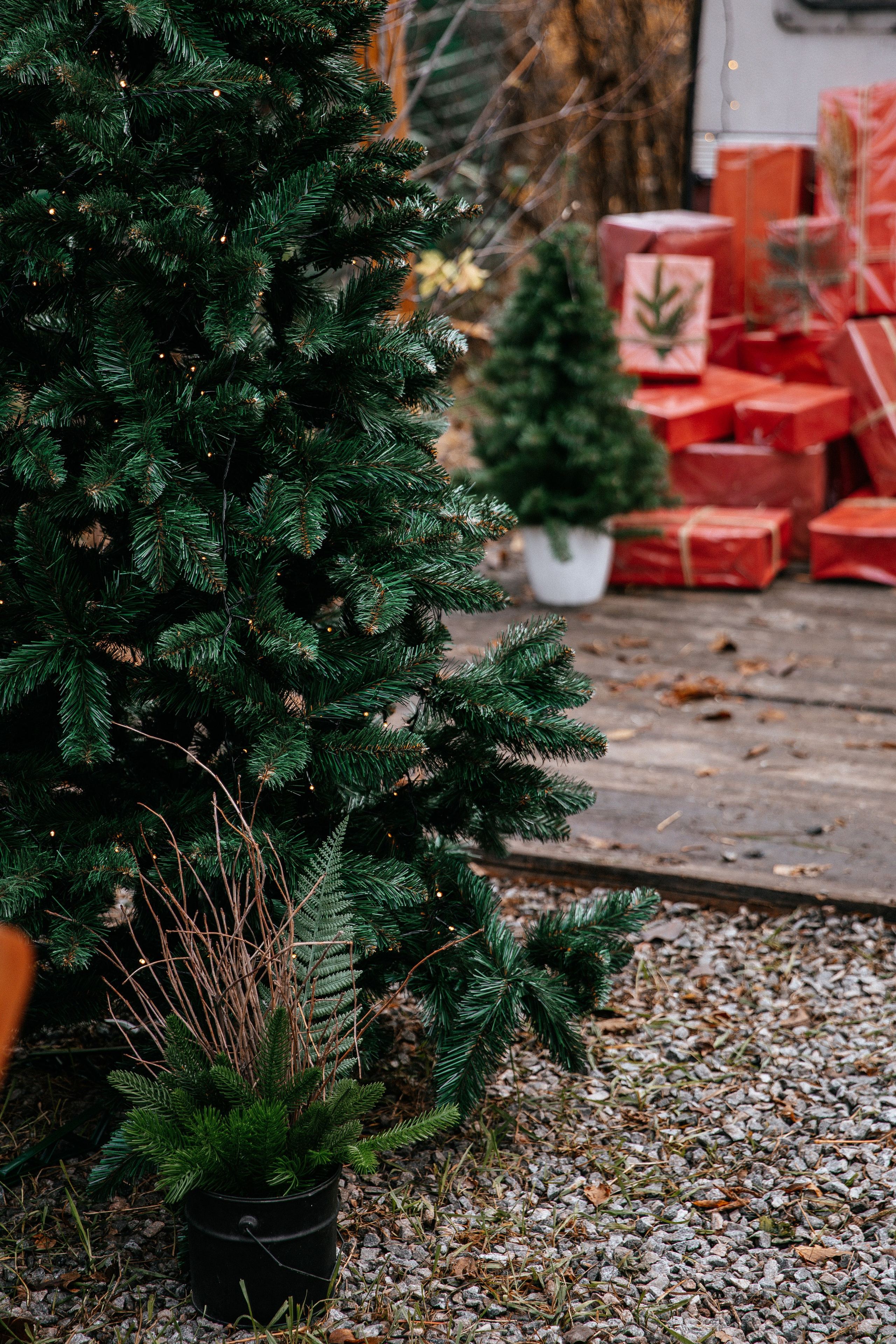КЕМПИНГ. Фотостудия в Мариуполе «Берлога»