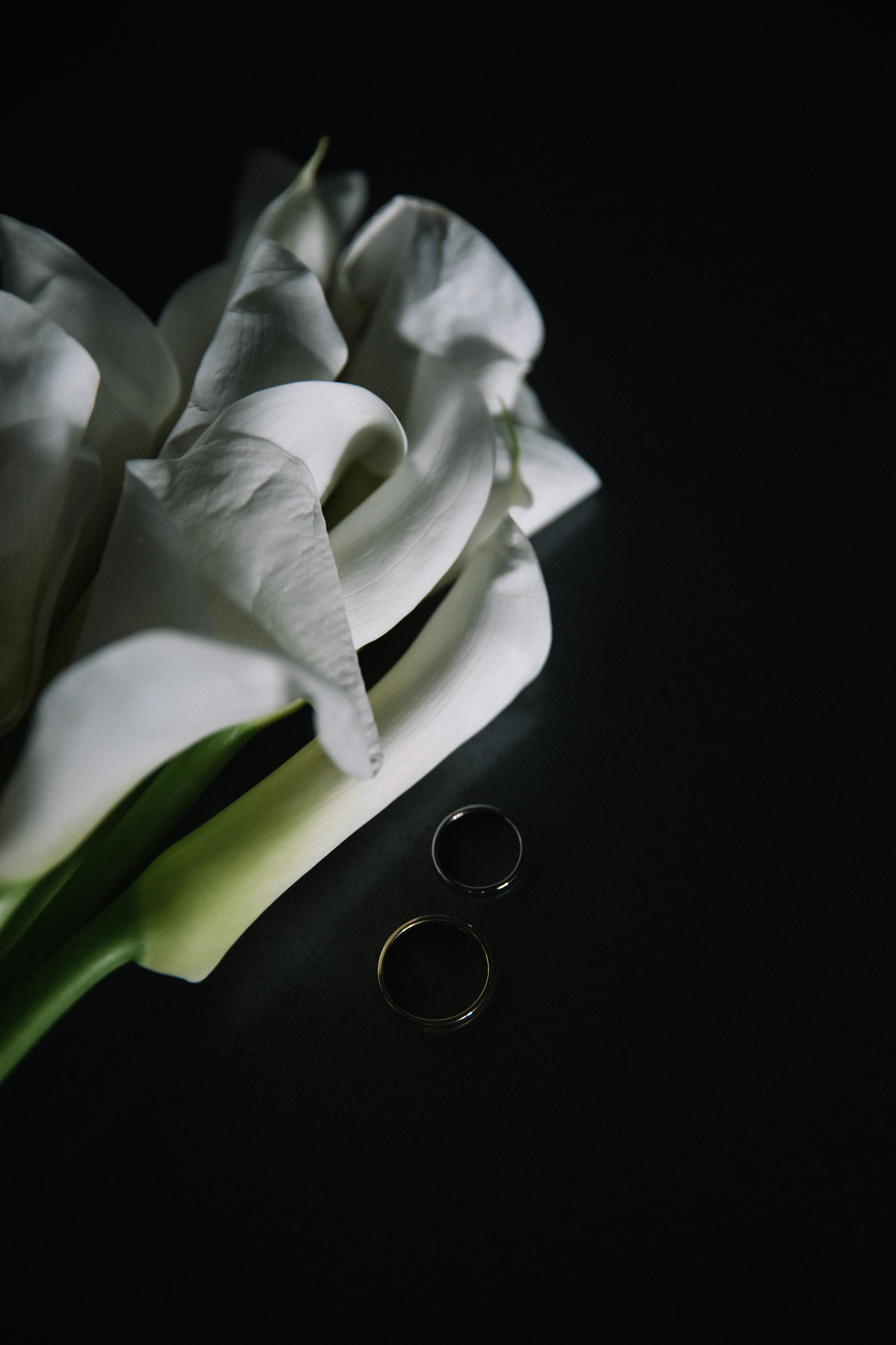 Свадьба Оли и Егора. Свадебный и семейный фотограф в Волгограде Анастасия Кошенскова