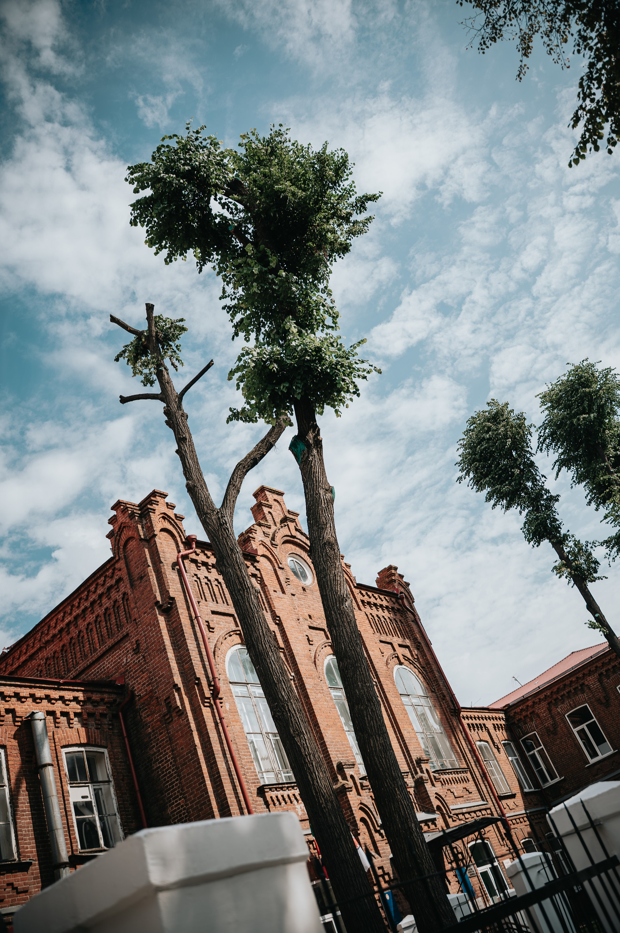 Свадебная съёмка для Туторских. Фотограф/видеограф Богдан Голованов