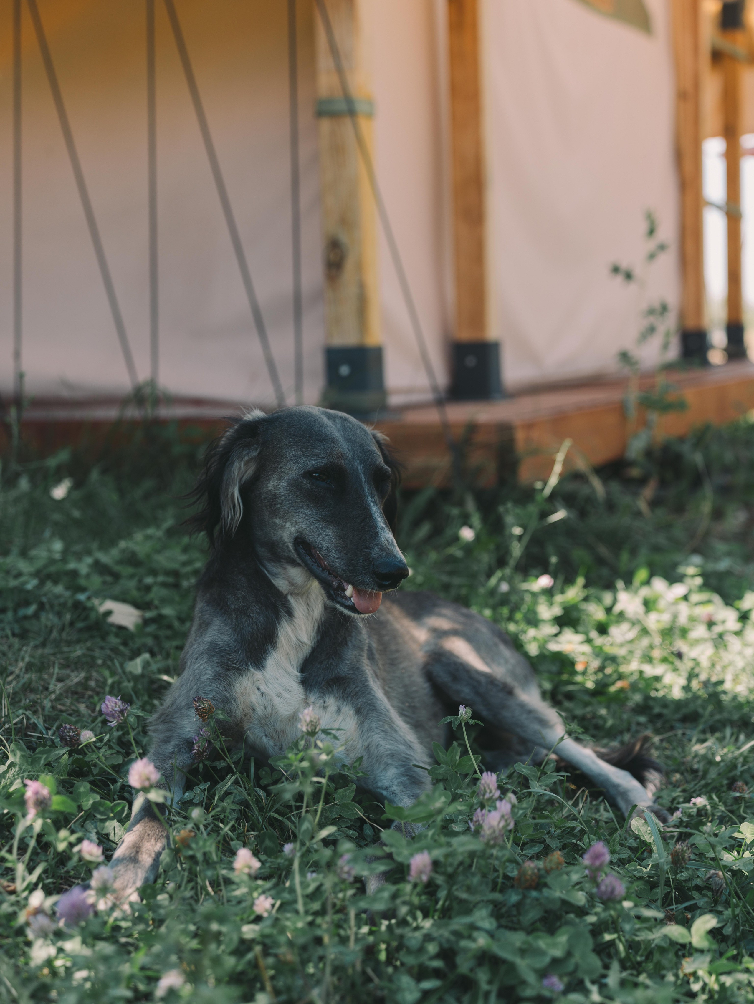 Серия съемок с Almaty Tourism Bureau. Репортажный фотограф в Алматы Цой Сергей