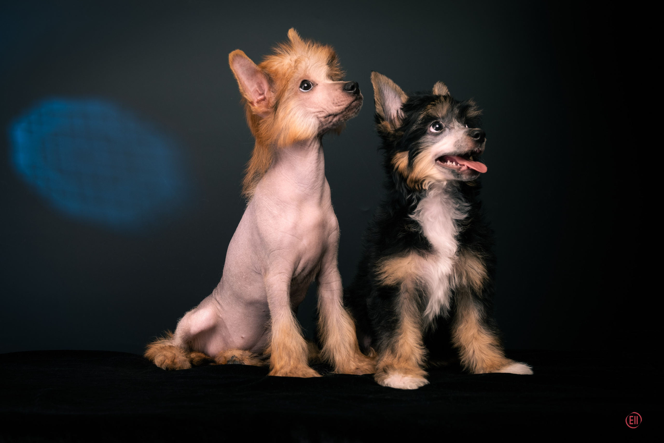 07.06.2025 Синяя фотосессия. Фотограф в Москве