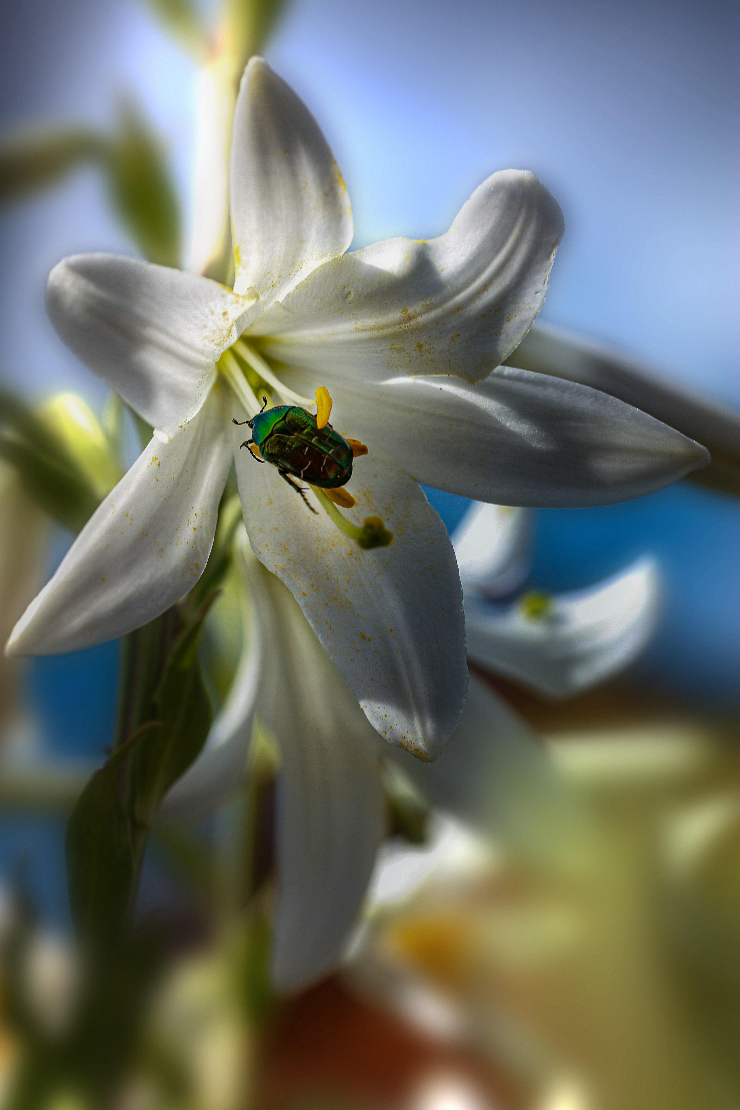 Красота вокруг нас. Медиапродюсер, фотограф в Минеральных Водах —Виктор Холодов