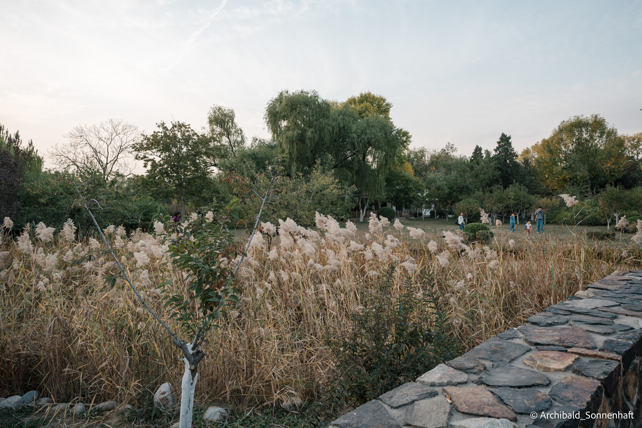 Walk around ShuiShan park. Photographer in Guangzhou, China. Archibald Sonnenhaft
