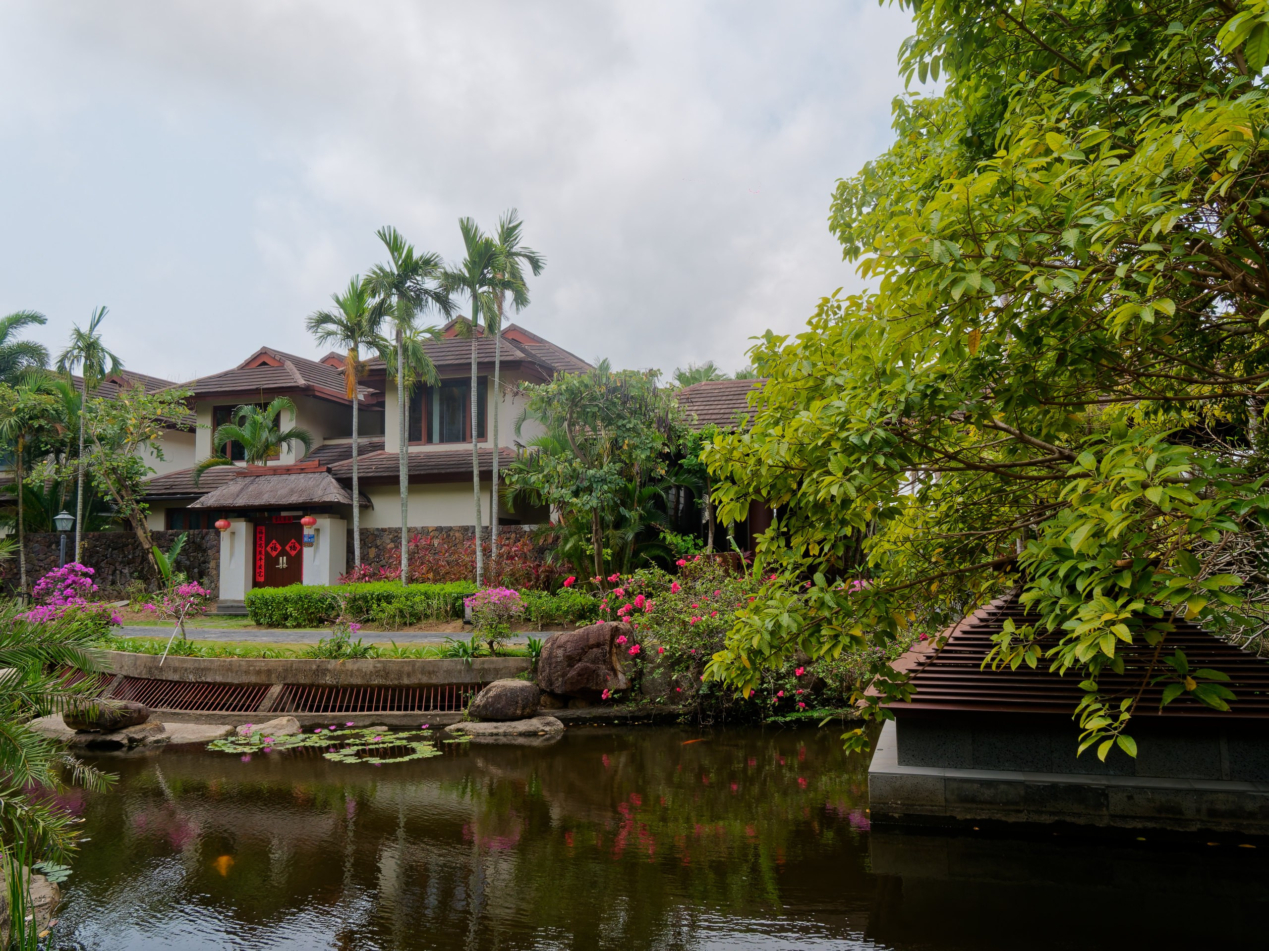 Хайнань 2026, флора, цветы и деревья. Фотопрогулки по Миру