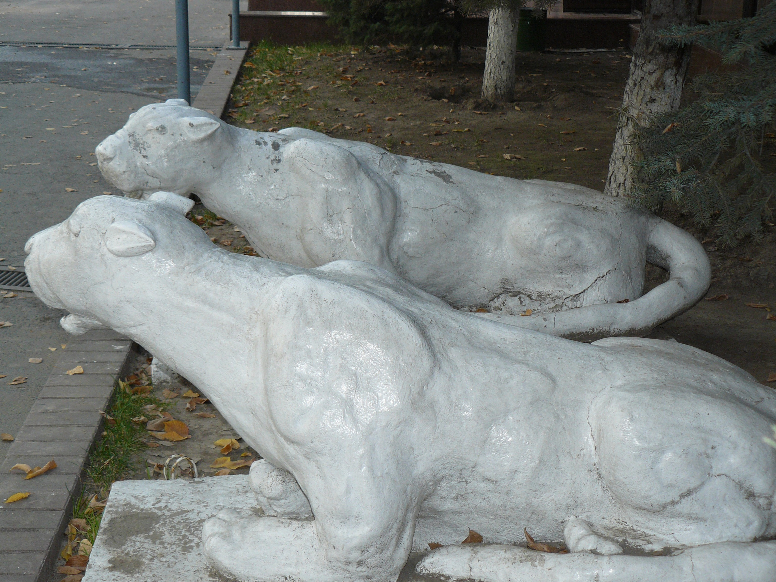 Алма-Ата 2008. Избранные фотографии