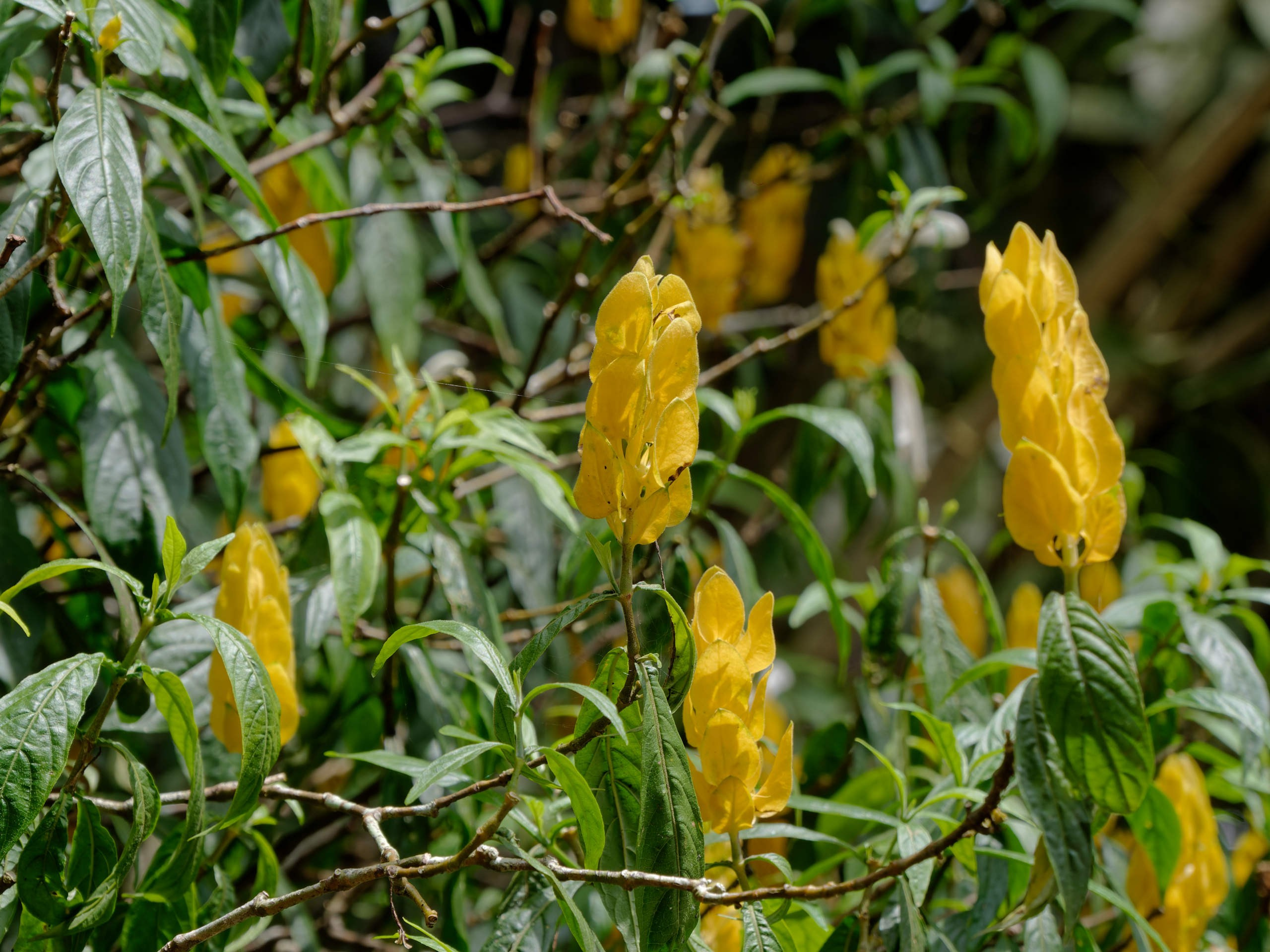 Далат 2023. Избранные фотографии