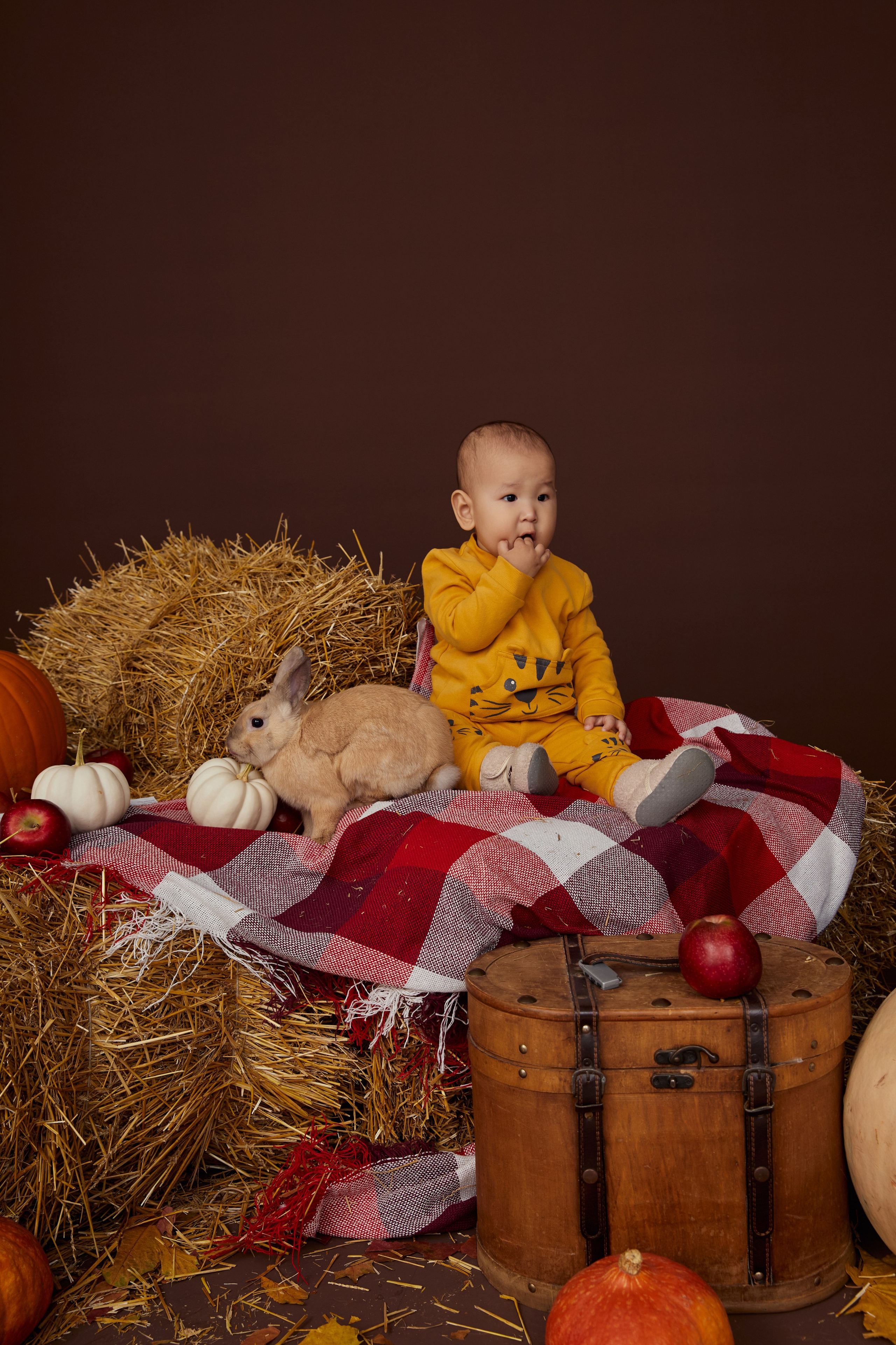 Портфолио наших фотографов. Content Studio фотостудия