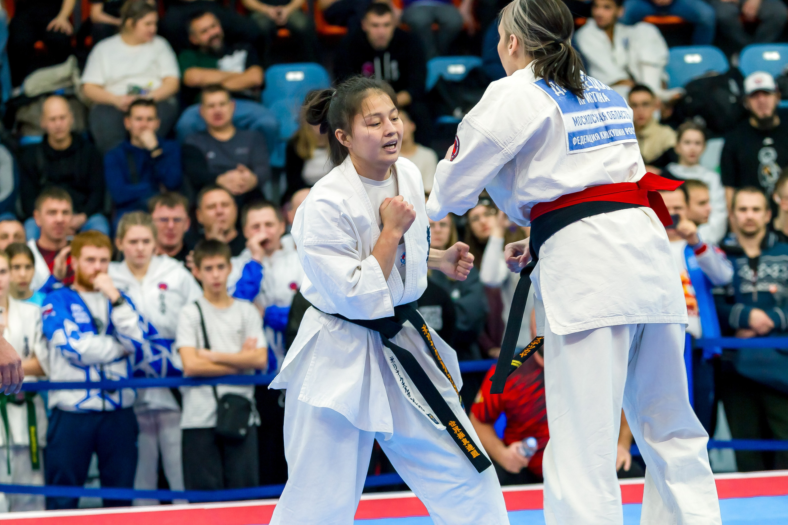 Соревнования по Киокушин памяти С. Увицкого. Репортажная съемка в Москве и области. Анималистика