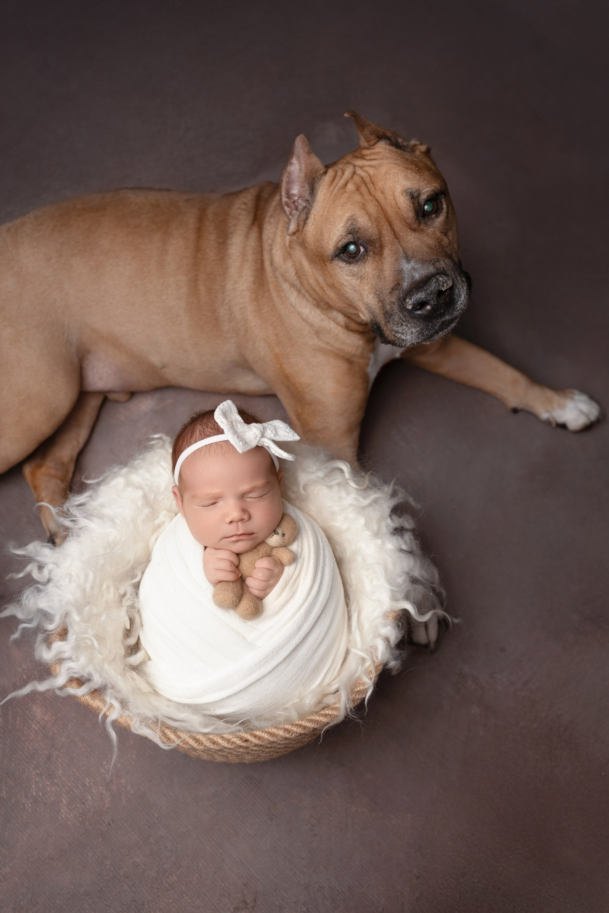 Новорожденные девочки. Фотограф новорожденных Модяева Ирина