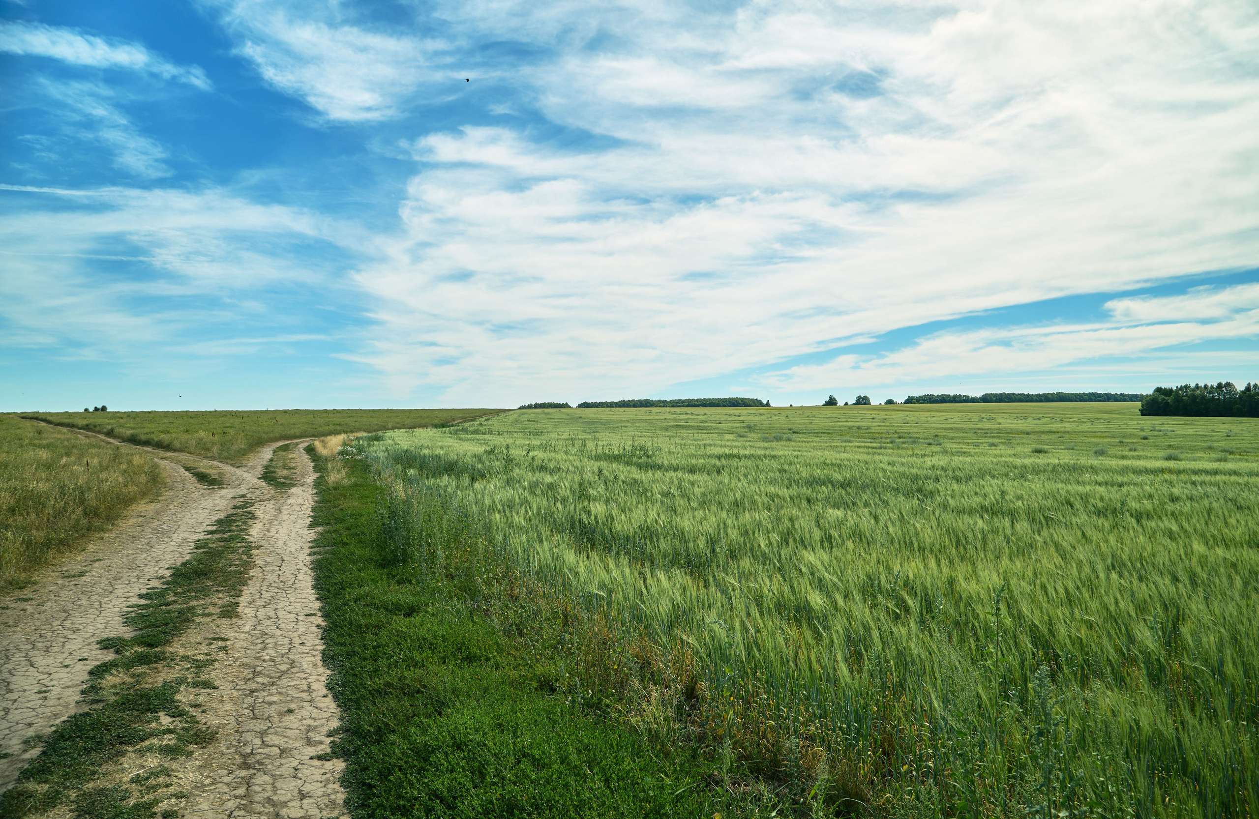 Пейзажная фотосъемка. Владимир Суздалов (ProMaXe) — Портретный фотограф, тематические фотосессии в Чебоксарах