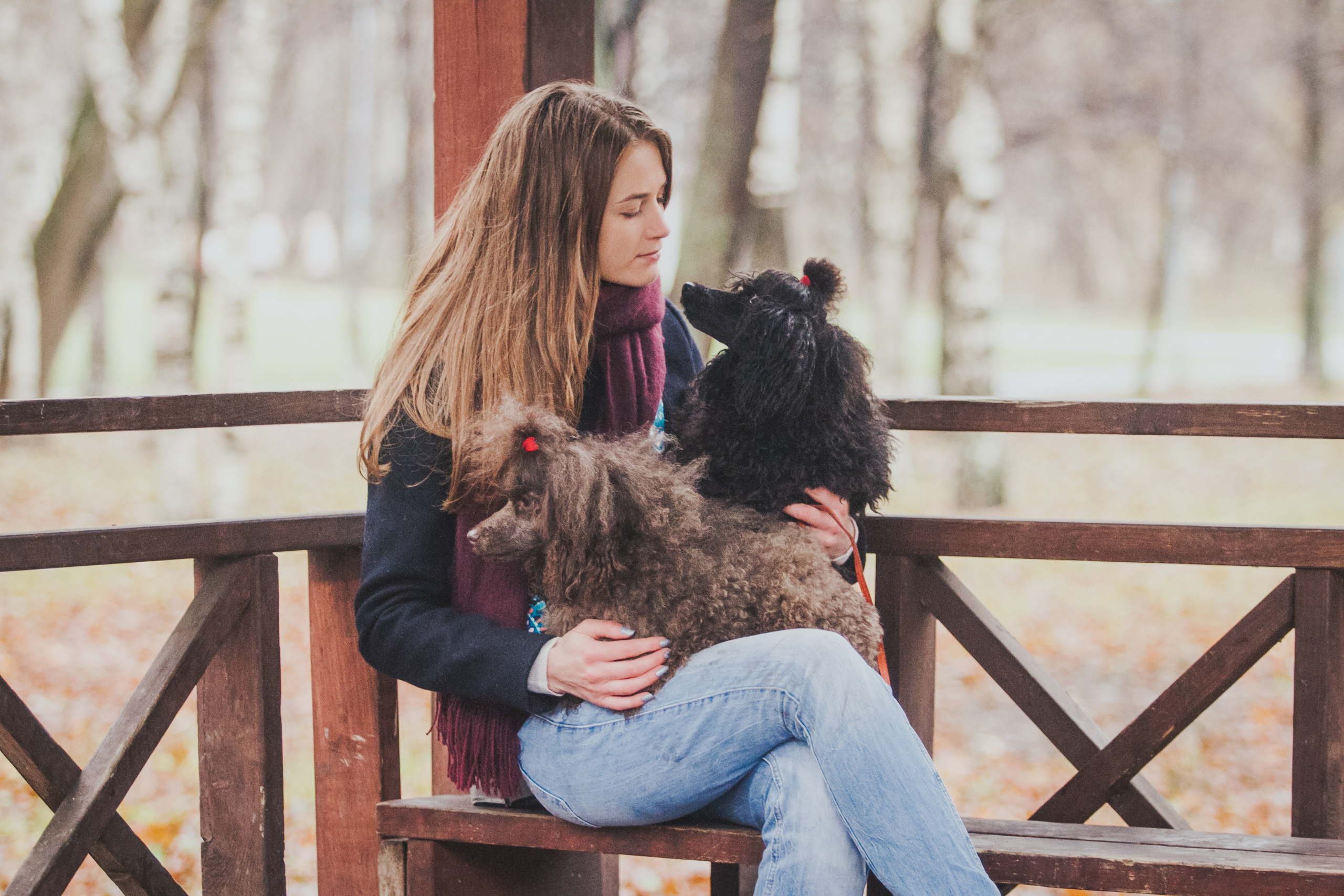 Собаки и их люди❤️. Семейный и детский фотограф в Москве Мария Быкова