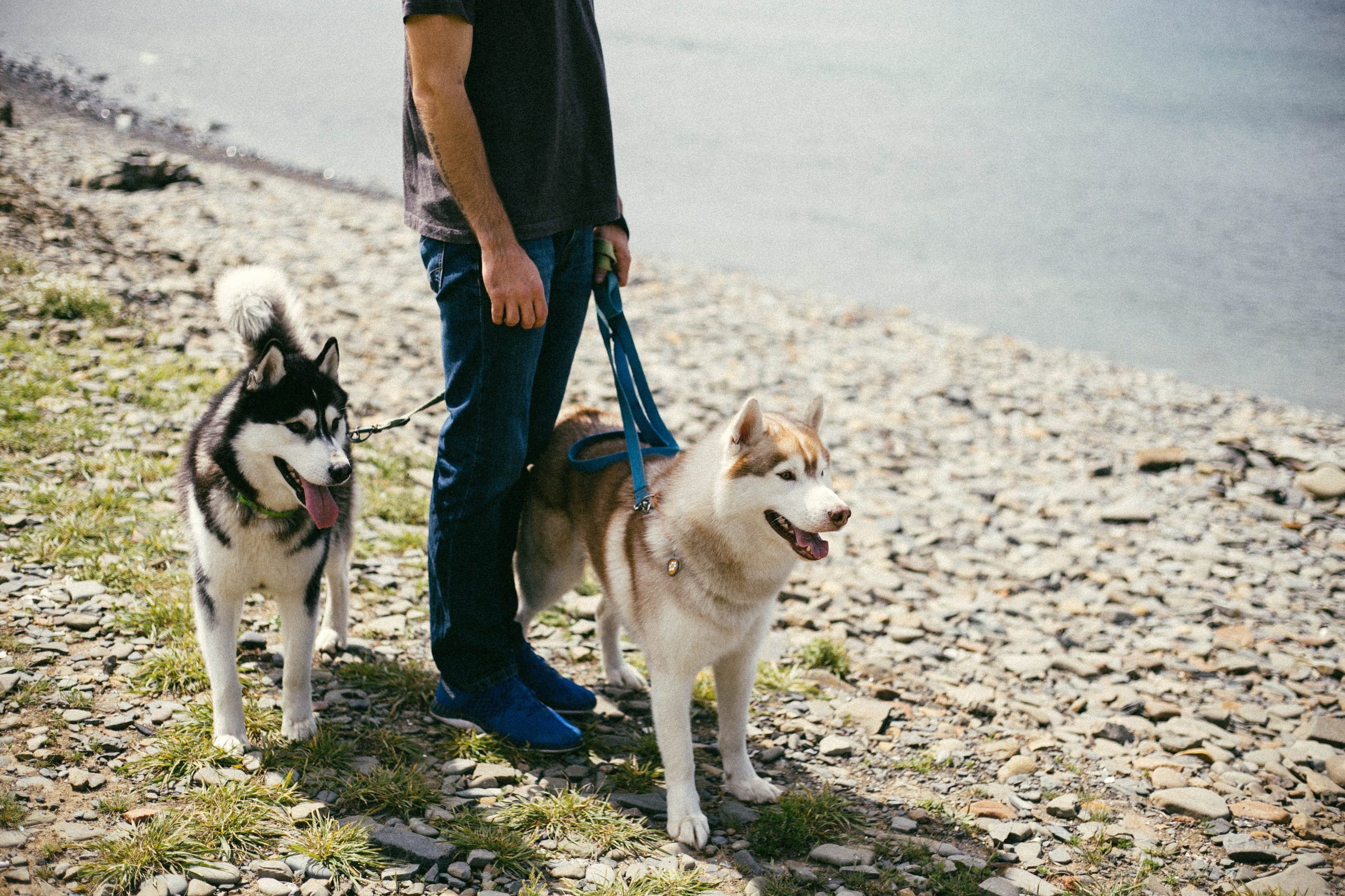 Один чудесный день. Свадебный и семейный фотограф во Владивостоке Овчинникова Дарья