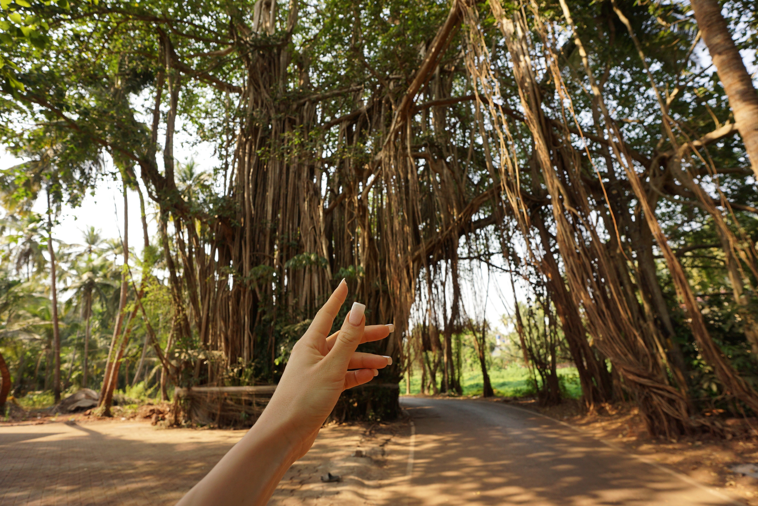 Индия. Живые снимки! Фотограф Даша Бендер