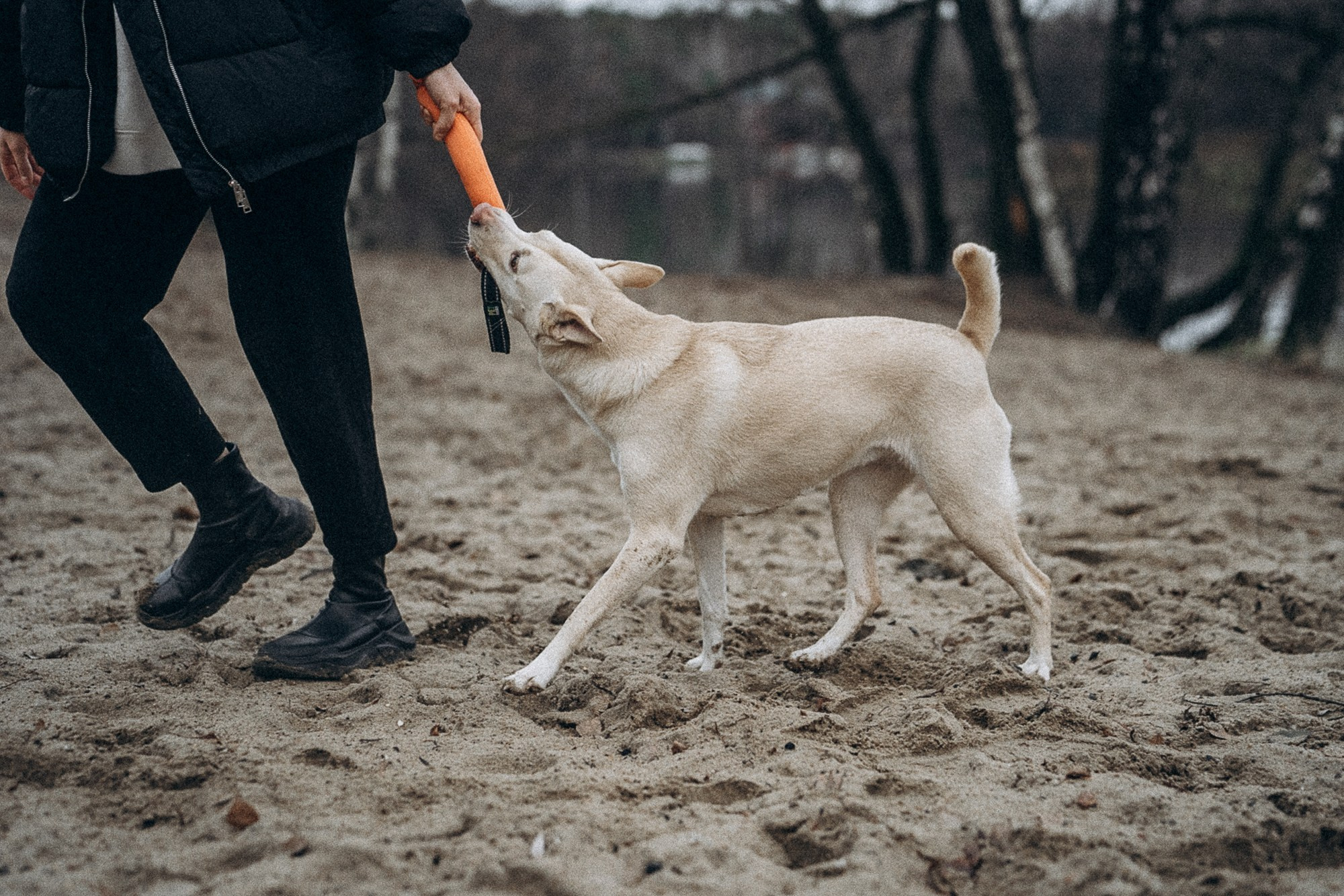 Туся. Фотограф анималист в Москве и Санкт-Петербурге Свиридова Анна
