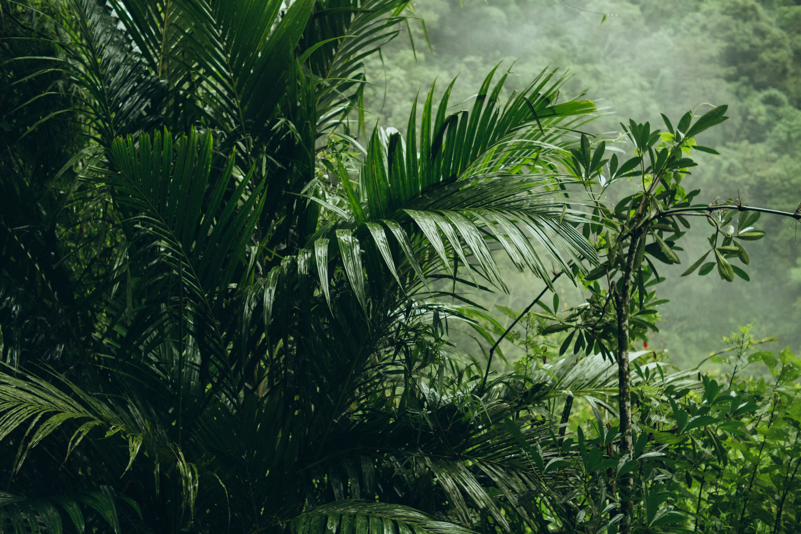 Julia and Ricard Wedding in Bali. Photographer Bali