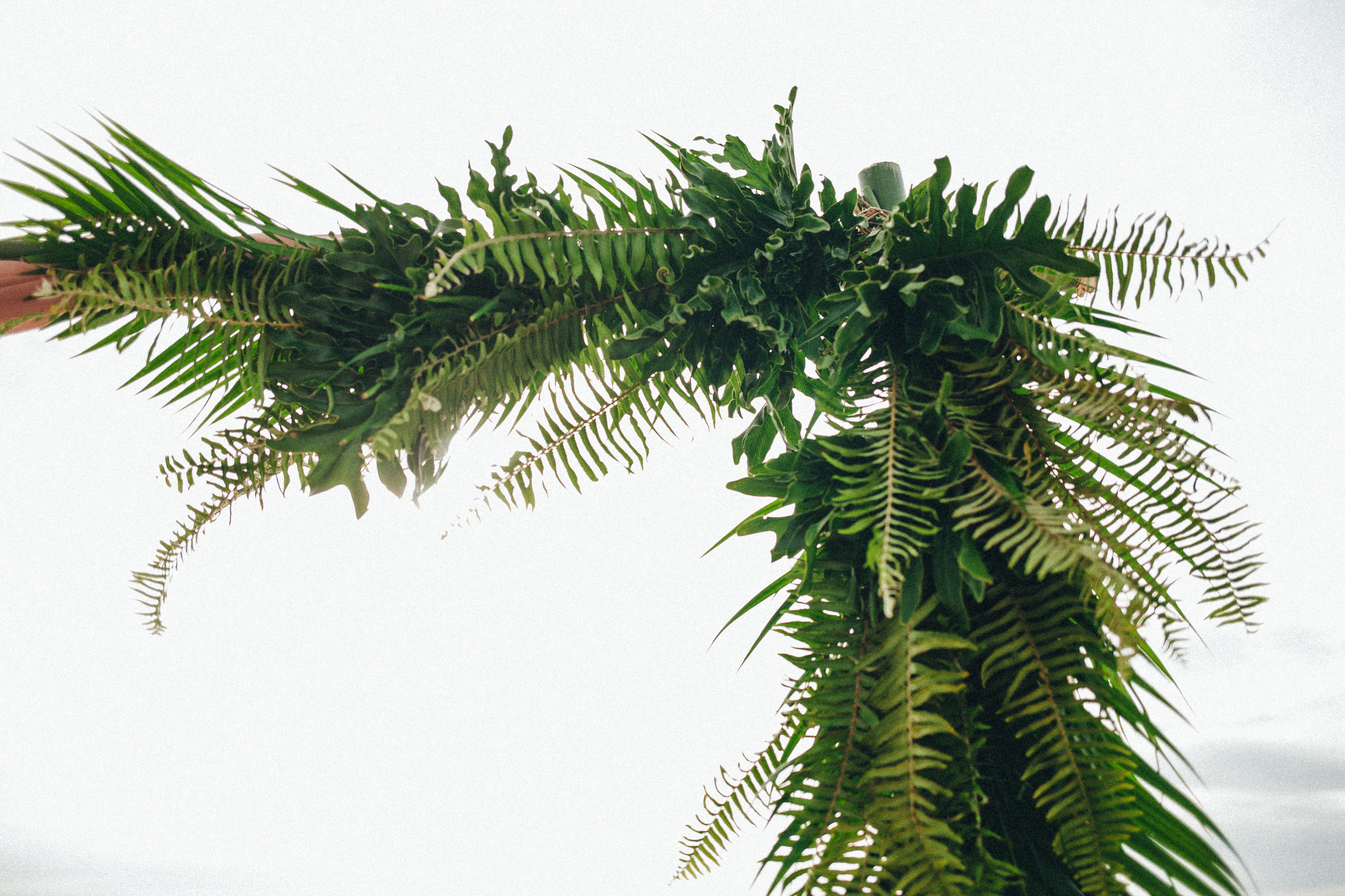 Sonya and Alex. Фотограф Бали