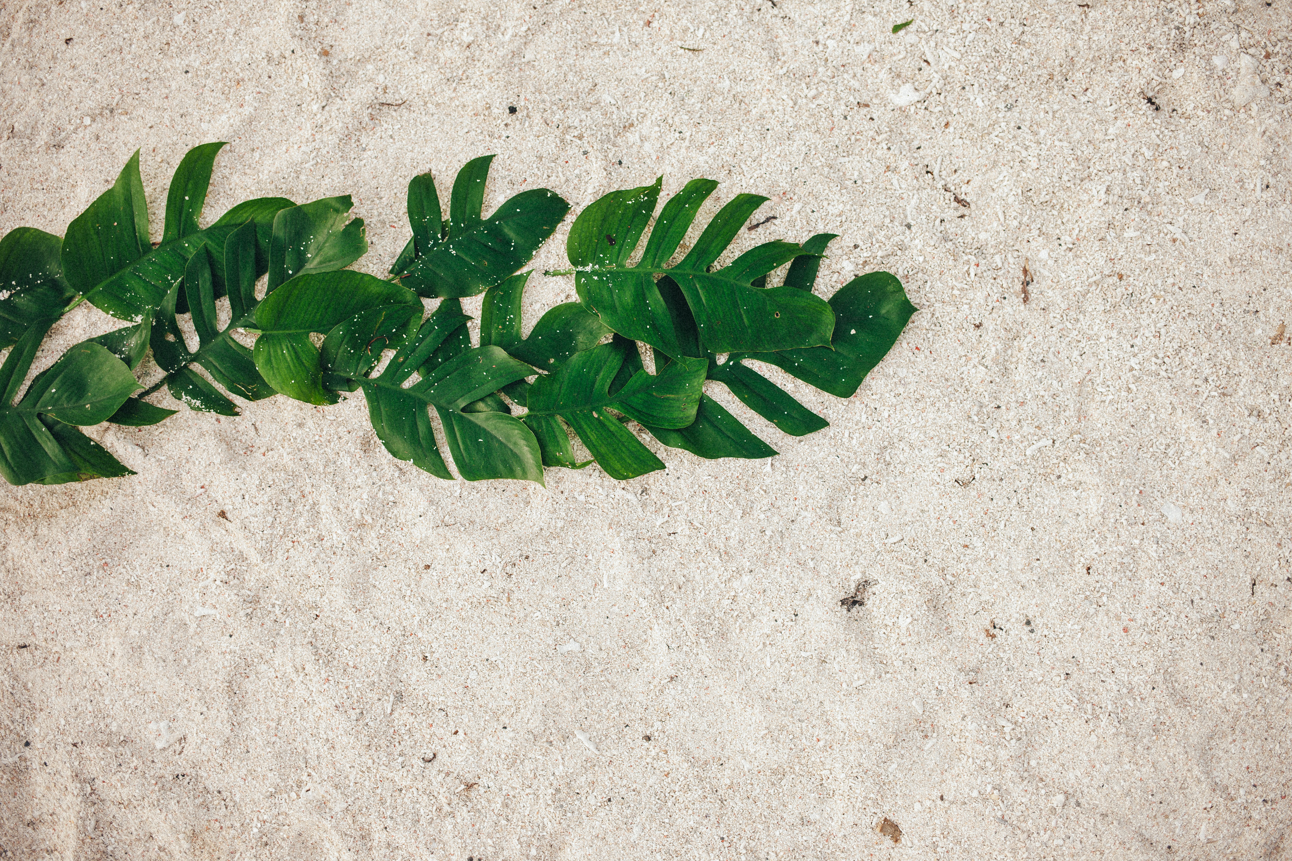 Sonya and Alex. Фотограф Бали