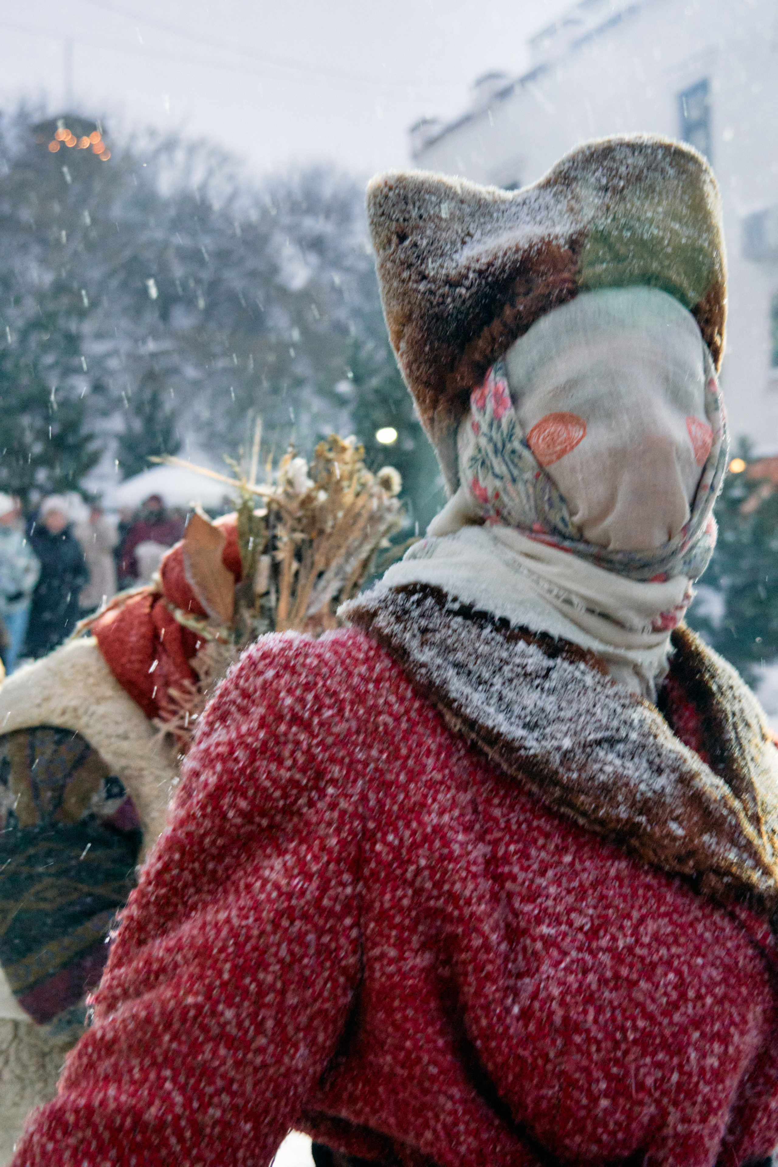 С медведем по соседям. Фотограф