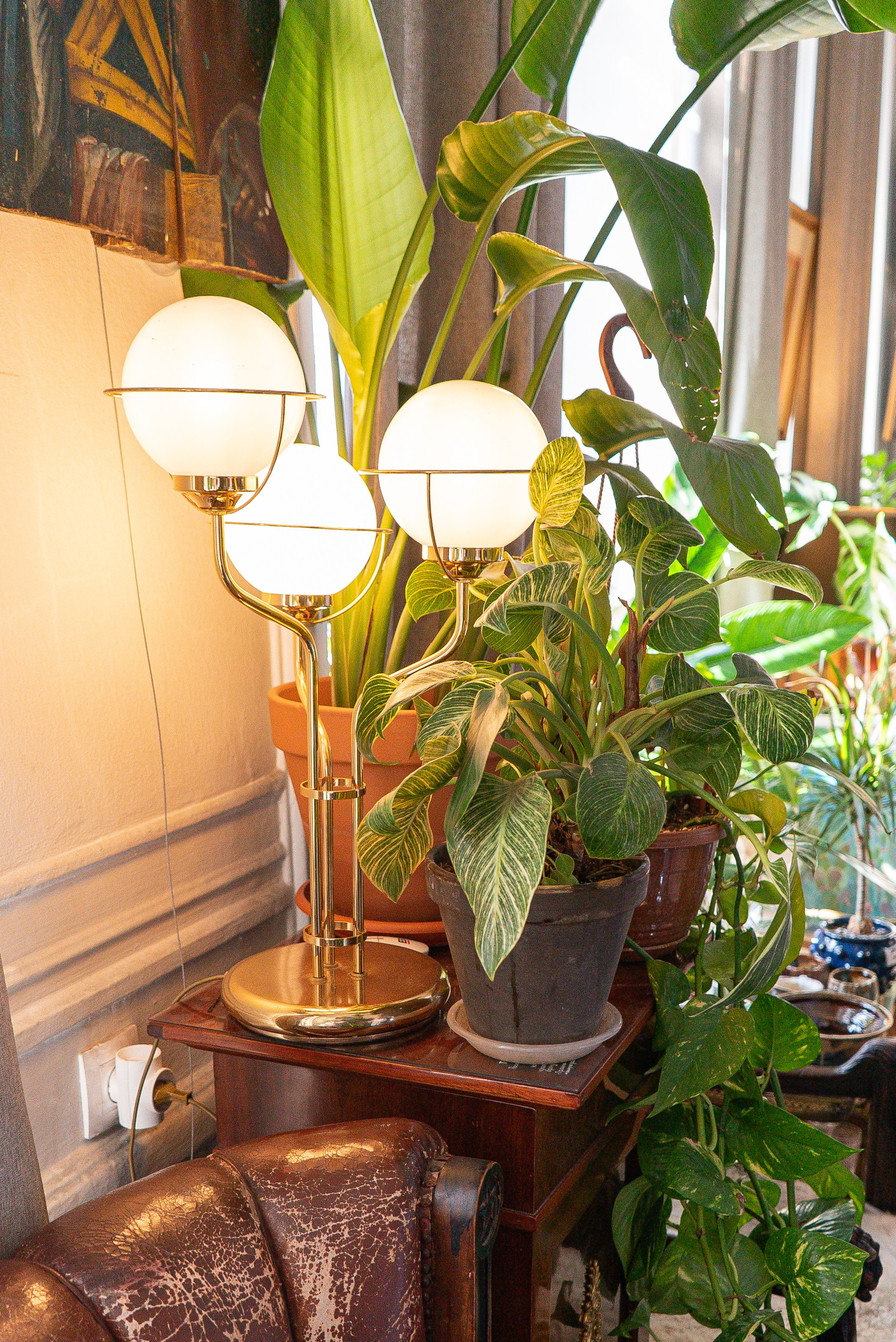 Усадьба. Александра Куликова фотограф, Москва