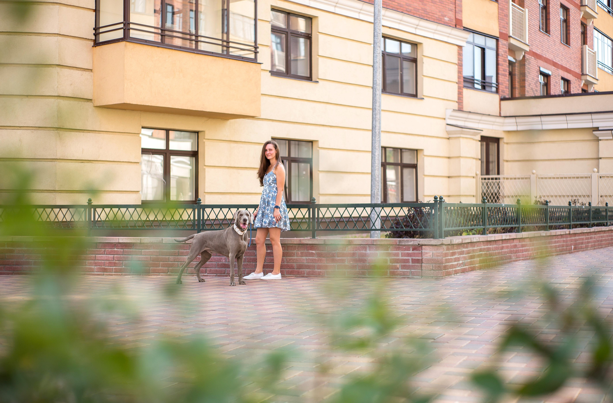 Евгения и Данте. Https://moshkovaphoto.ru/