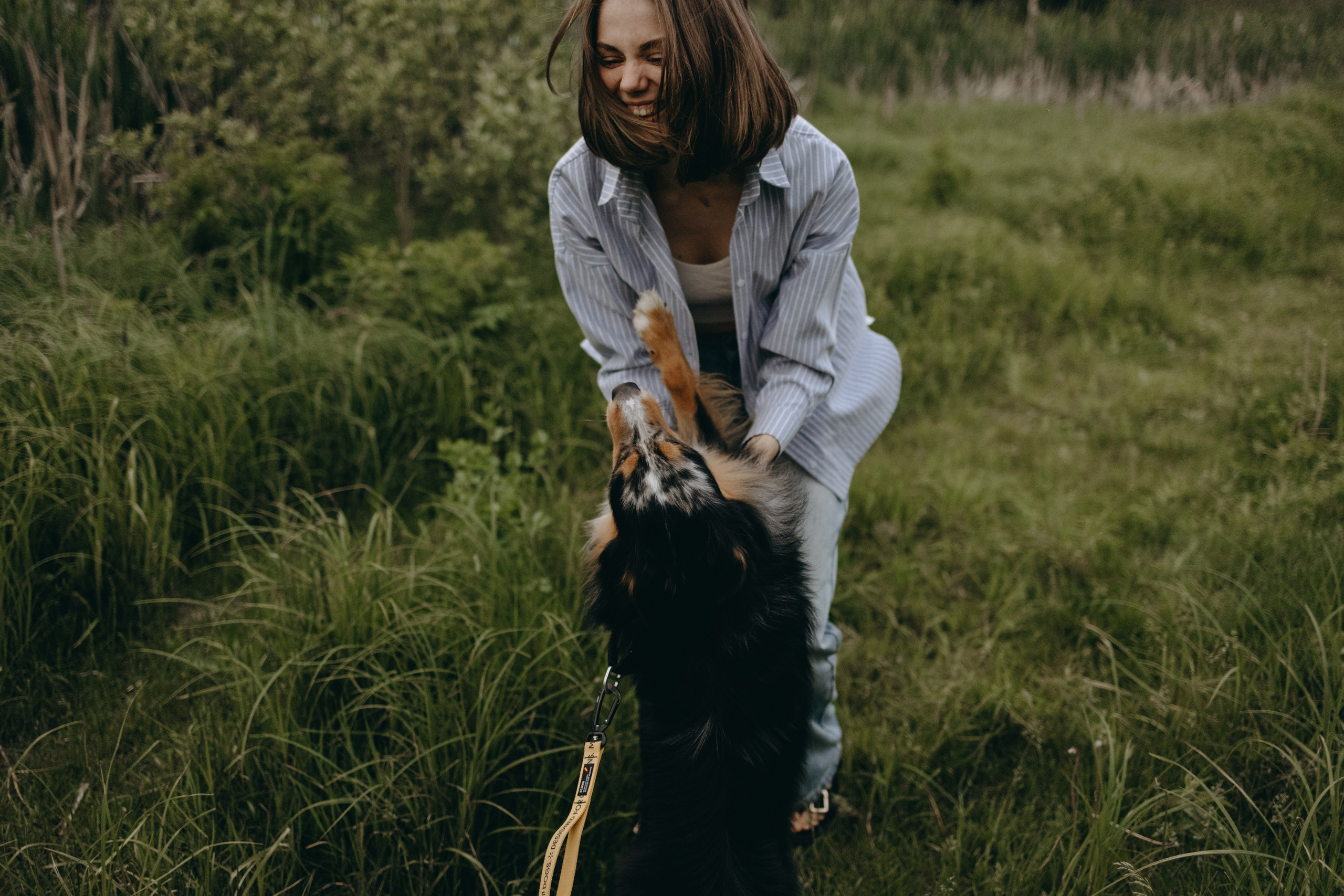 Настя, Никита и их Гром и Мяу. Фотограф — Анималист | Санкт-Петербург
