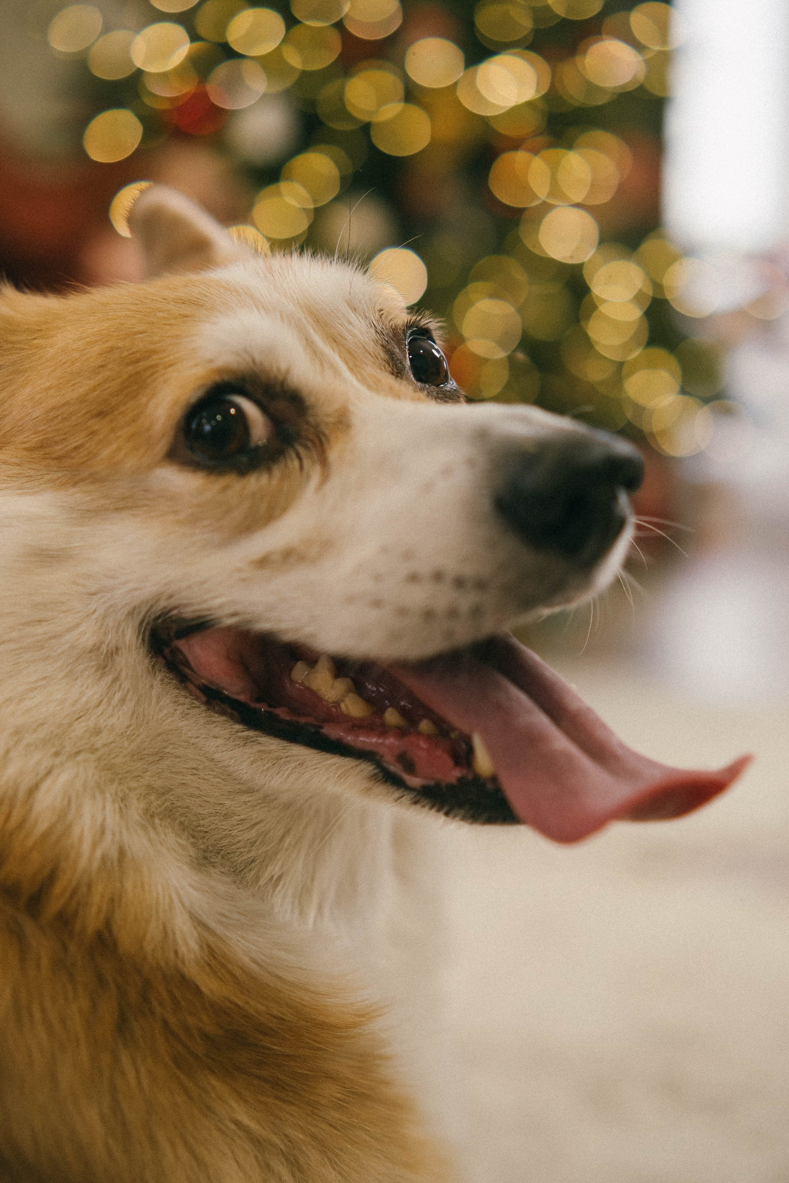 Оксана, Костя и Злата (2026). Анна Демидова — фотография для жизни и бизнеса в Абакане