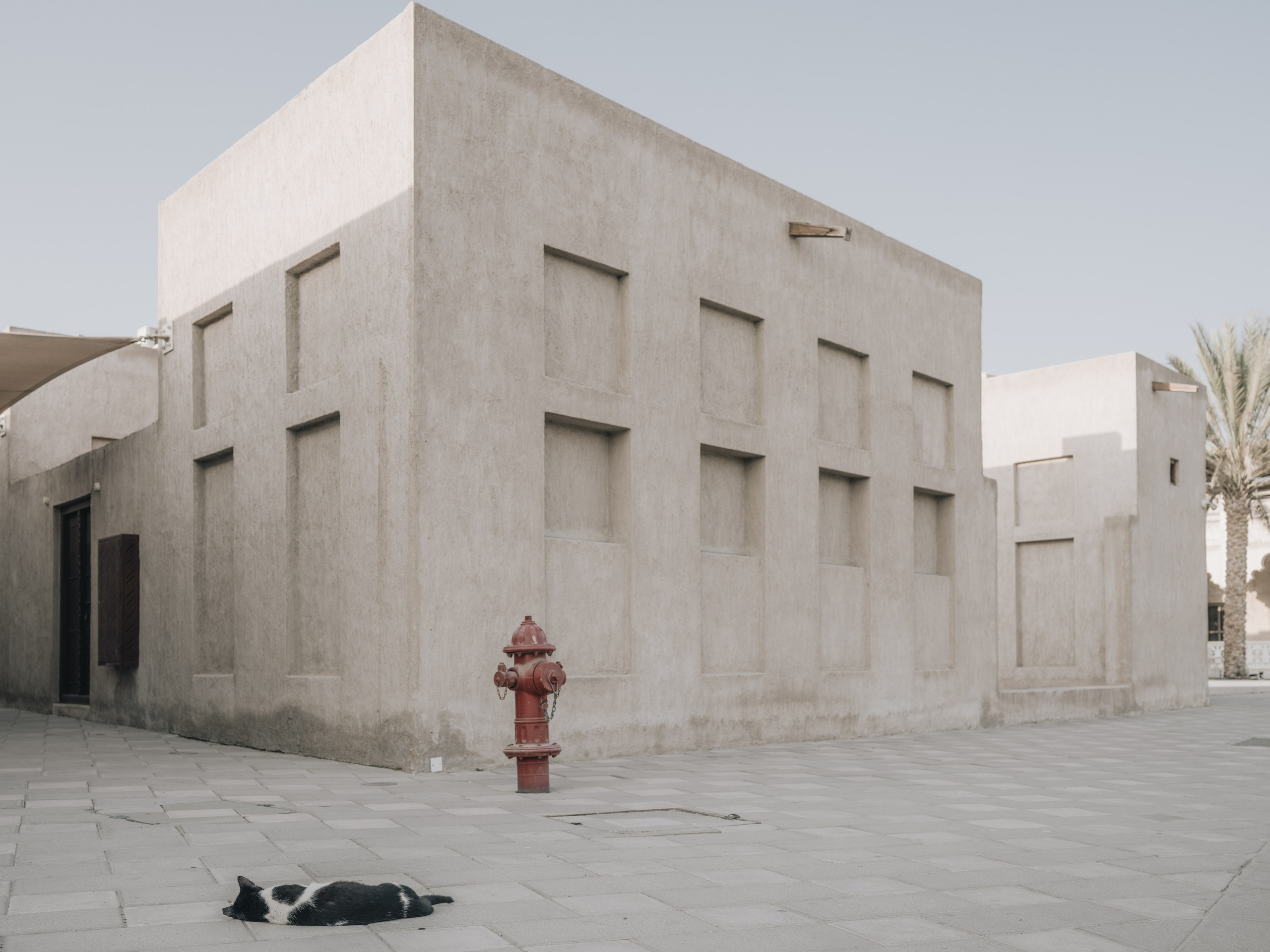 NOWHERE. Фотограф Шумков Дмитрий Snm981