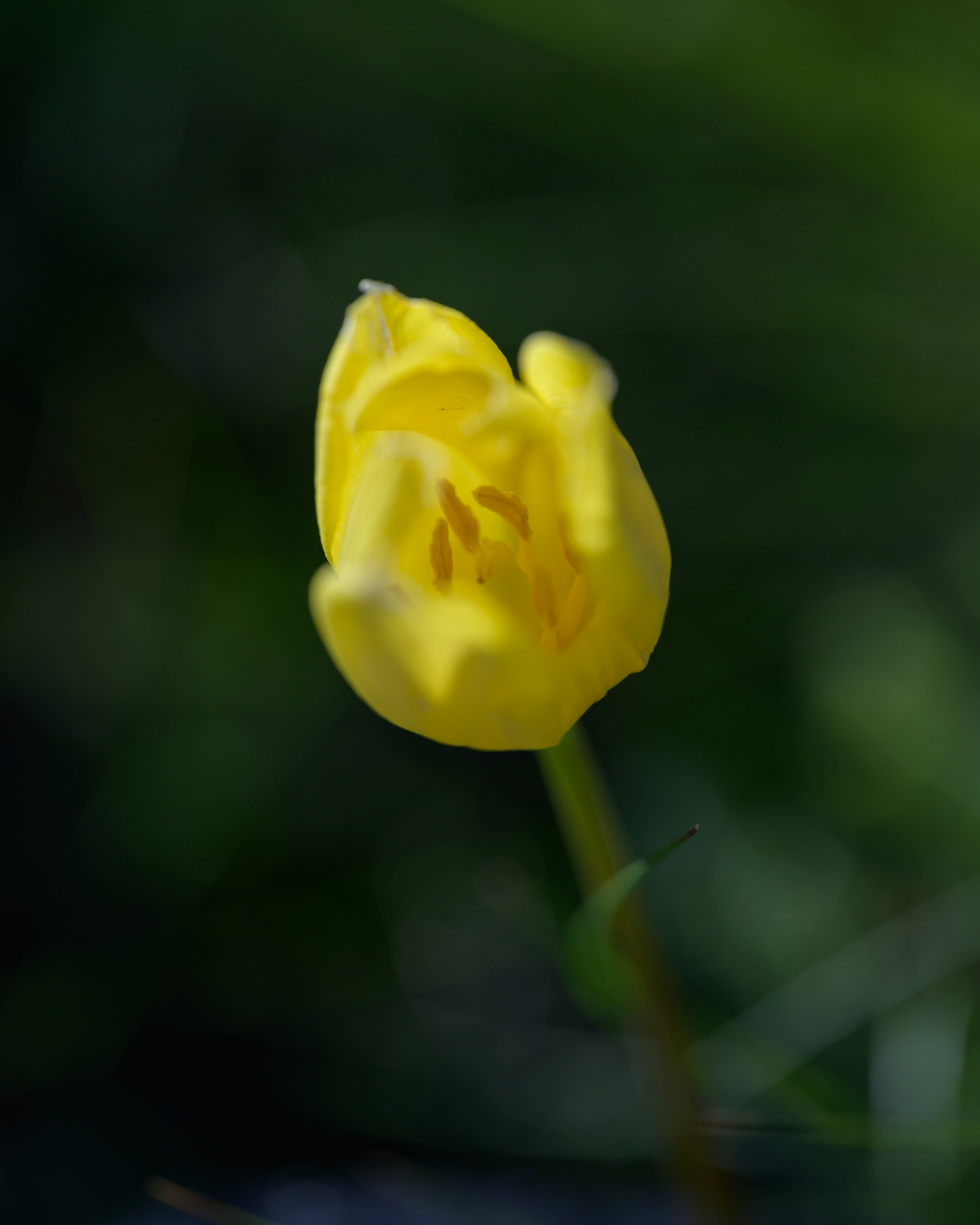 Оренбуржье. Портретный фотограф в Челябинске Катерина Руди