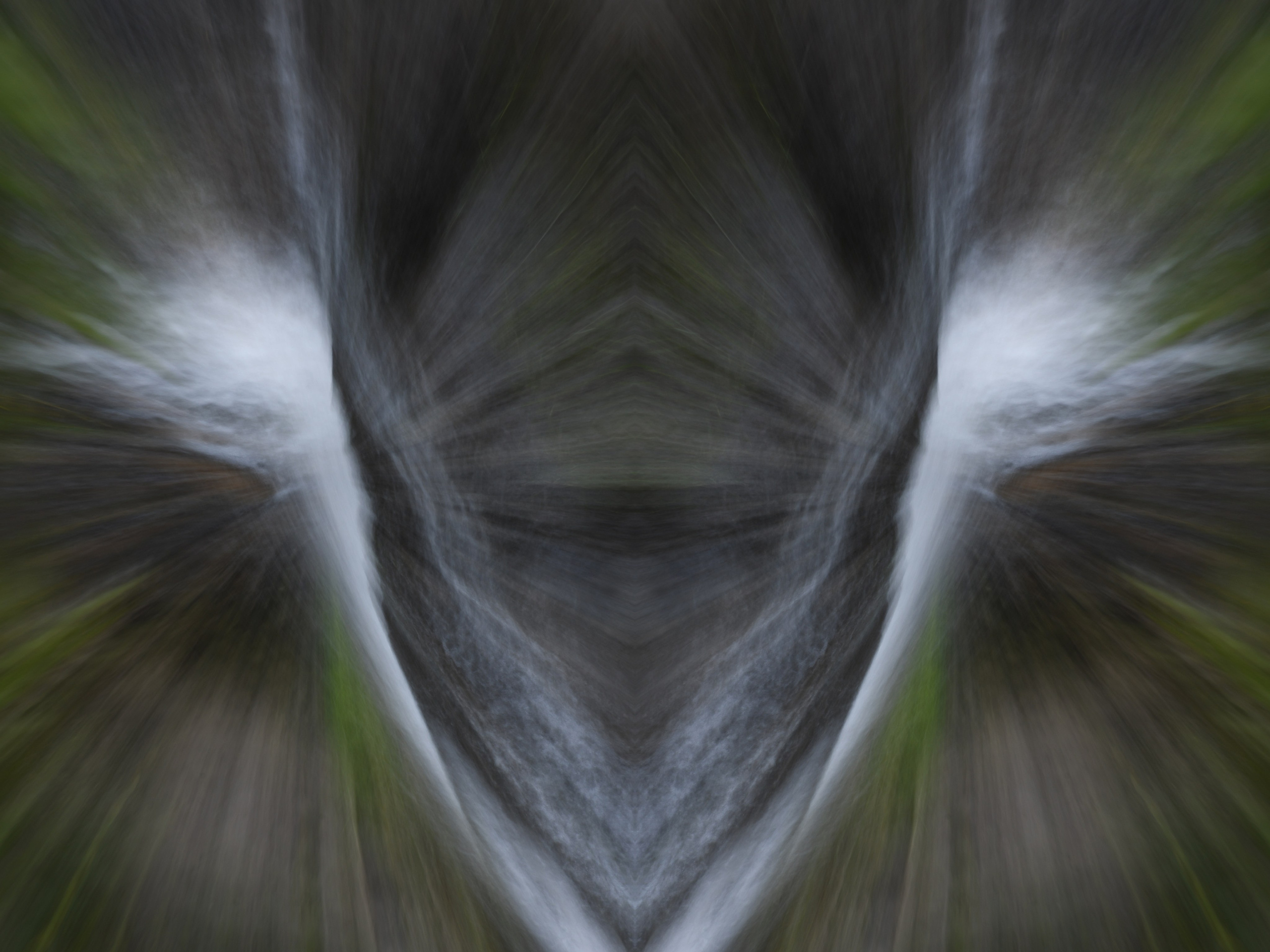 Urban flowers. Арт — фотограф Евгений Наймушин Новокузнецк