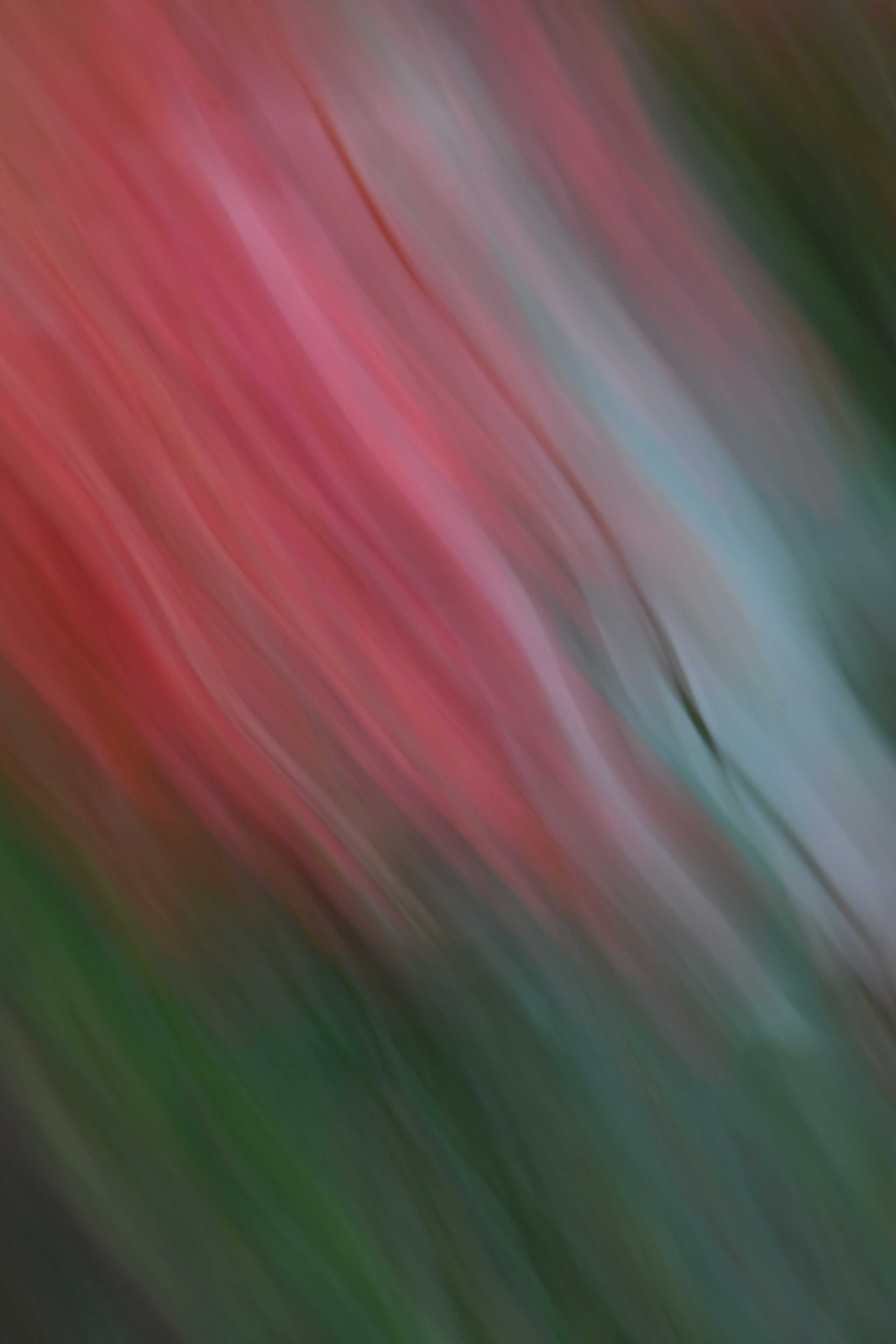 Abstraction. Арт — фотограф Евгений Наймушин Новокузнецк