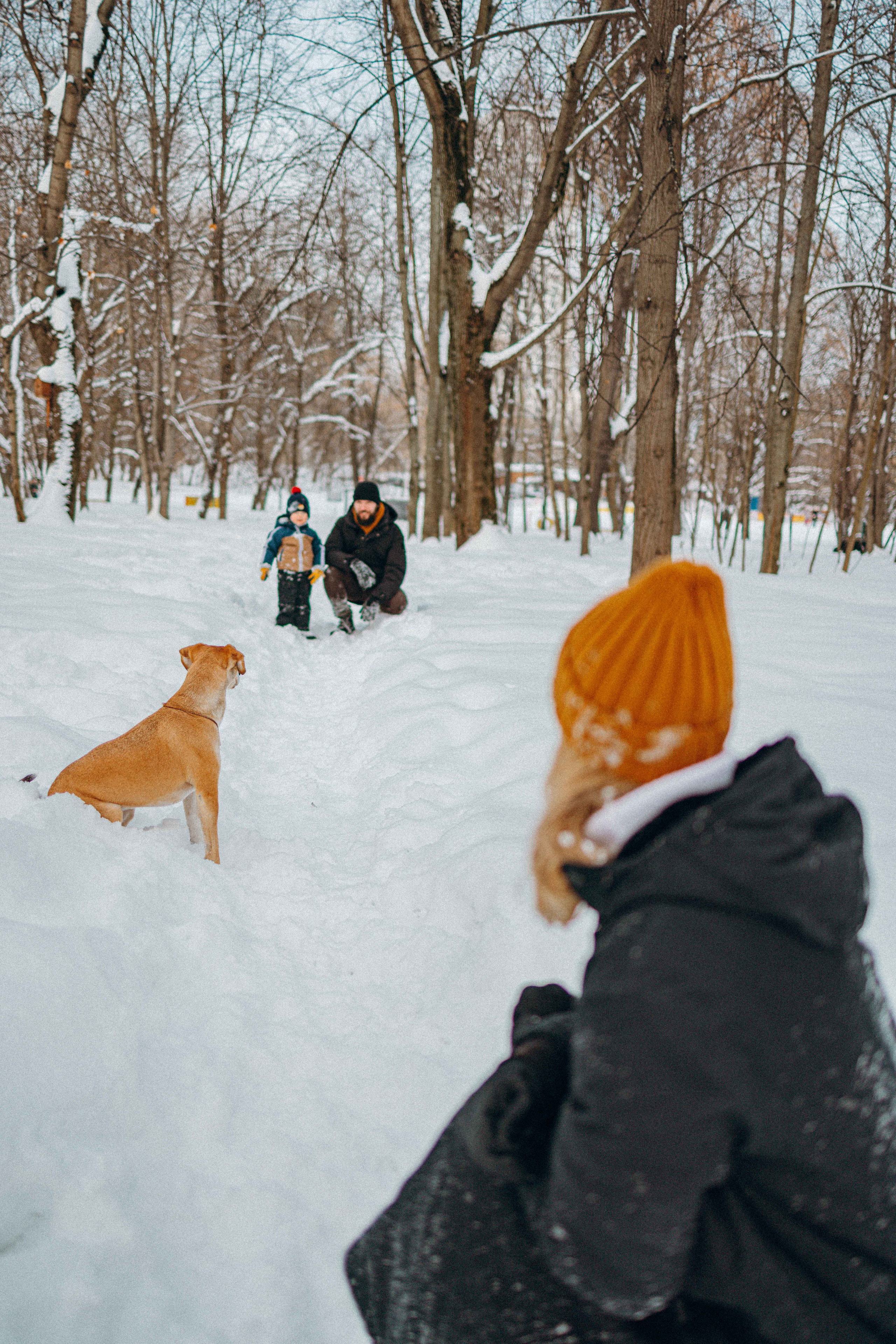 Свобода и ее семья. Фотограф-анималист в Москве Лера Черноног