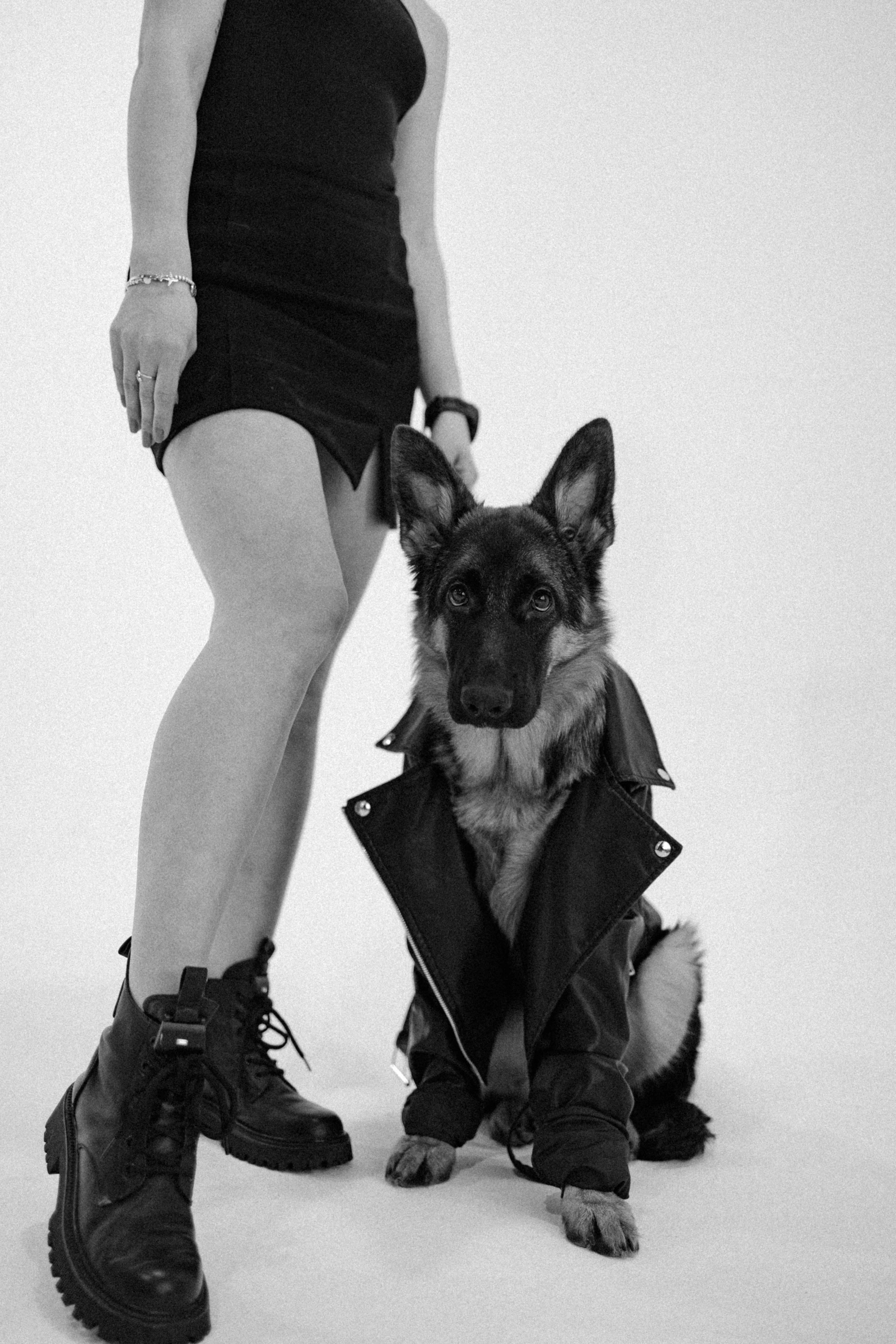 Ася и Буся. Фотограф-анималист в Москве Лера Черноног