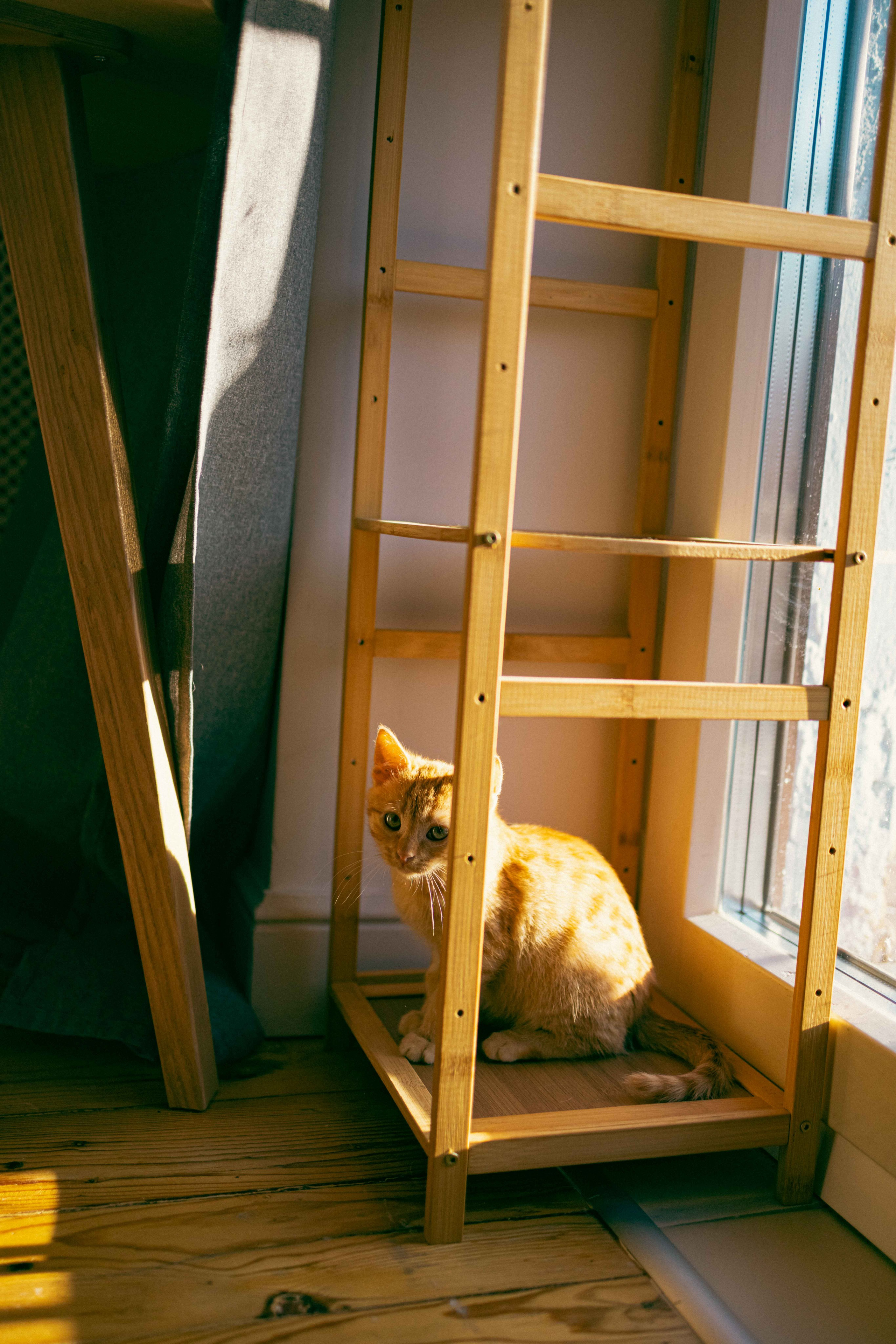 Кускус. Фотограф-анималист в Москве Лера Черноног