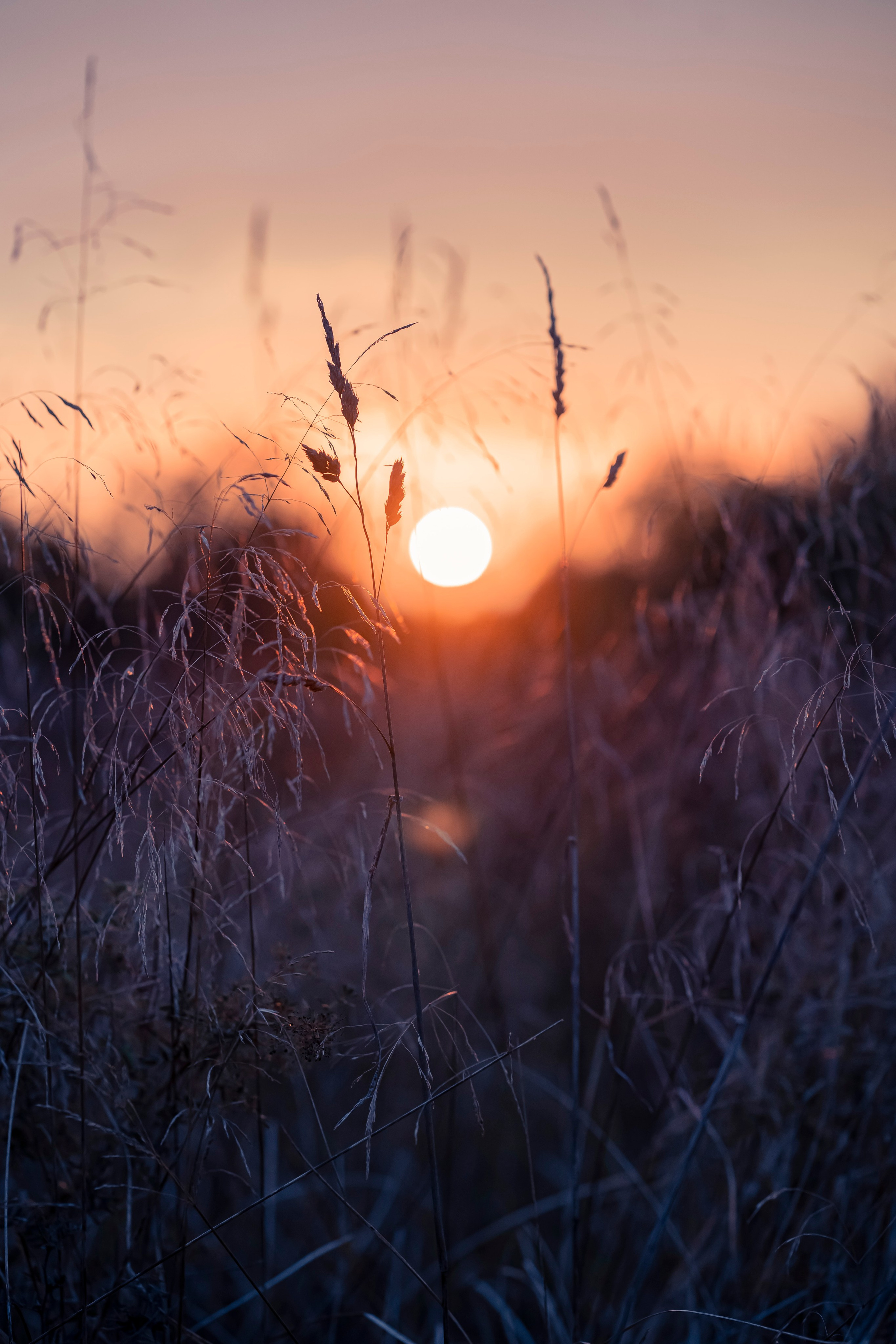 Фотокартины. Семейный фотограф Ирина Ильиных-Вольная в Москве и не только