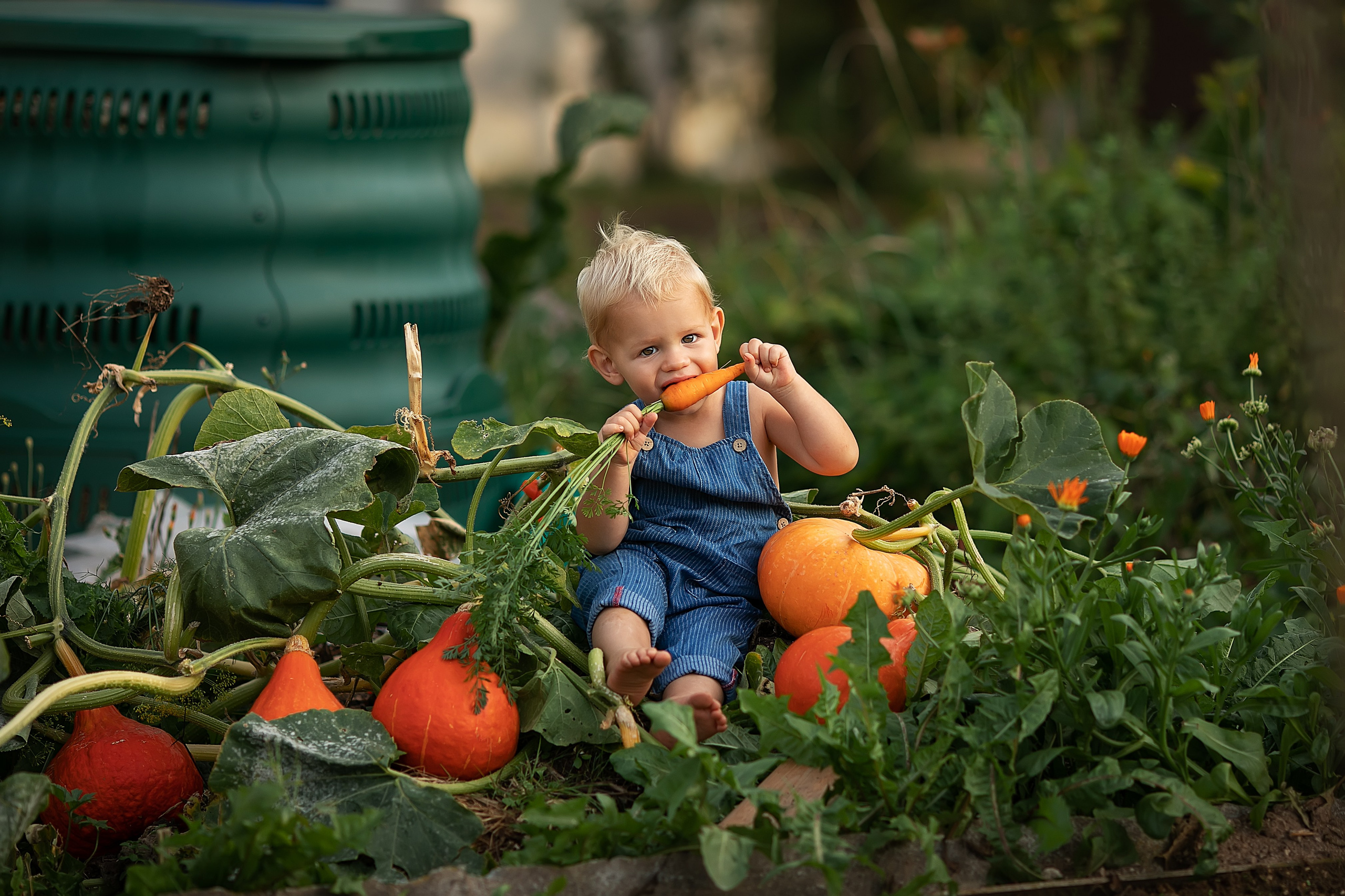 Лето. Главная