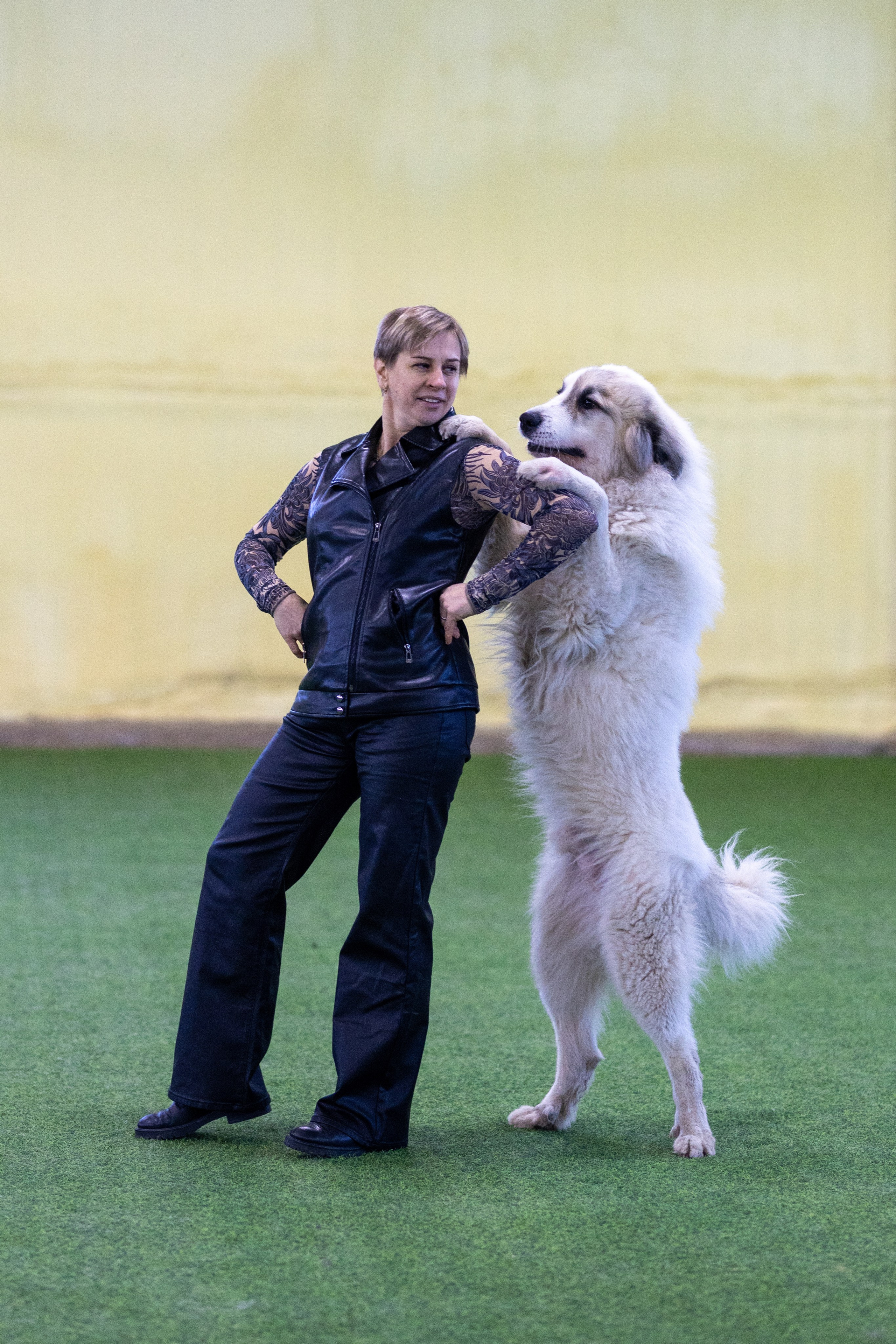 Соревнования танцы. Фотограф-анималист в Москве Кириллова Татьяна