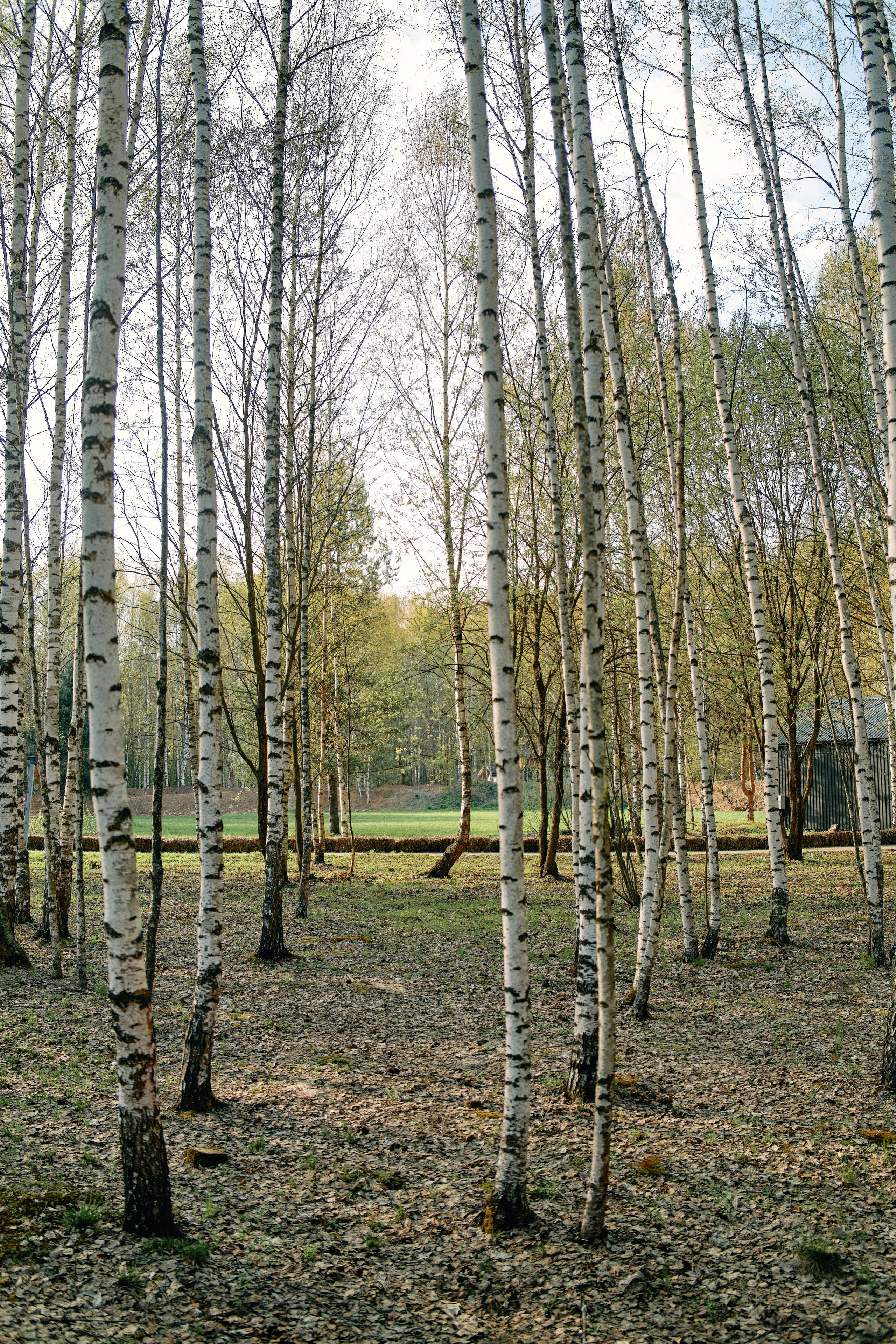 Бутик-отель Поле летом. Профессиональный Фотограф во Владимире, в Москве и в Суздале — Полина Романычева