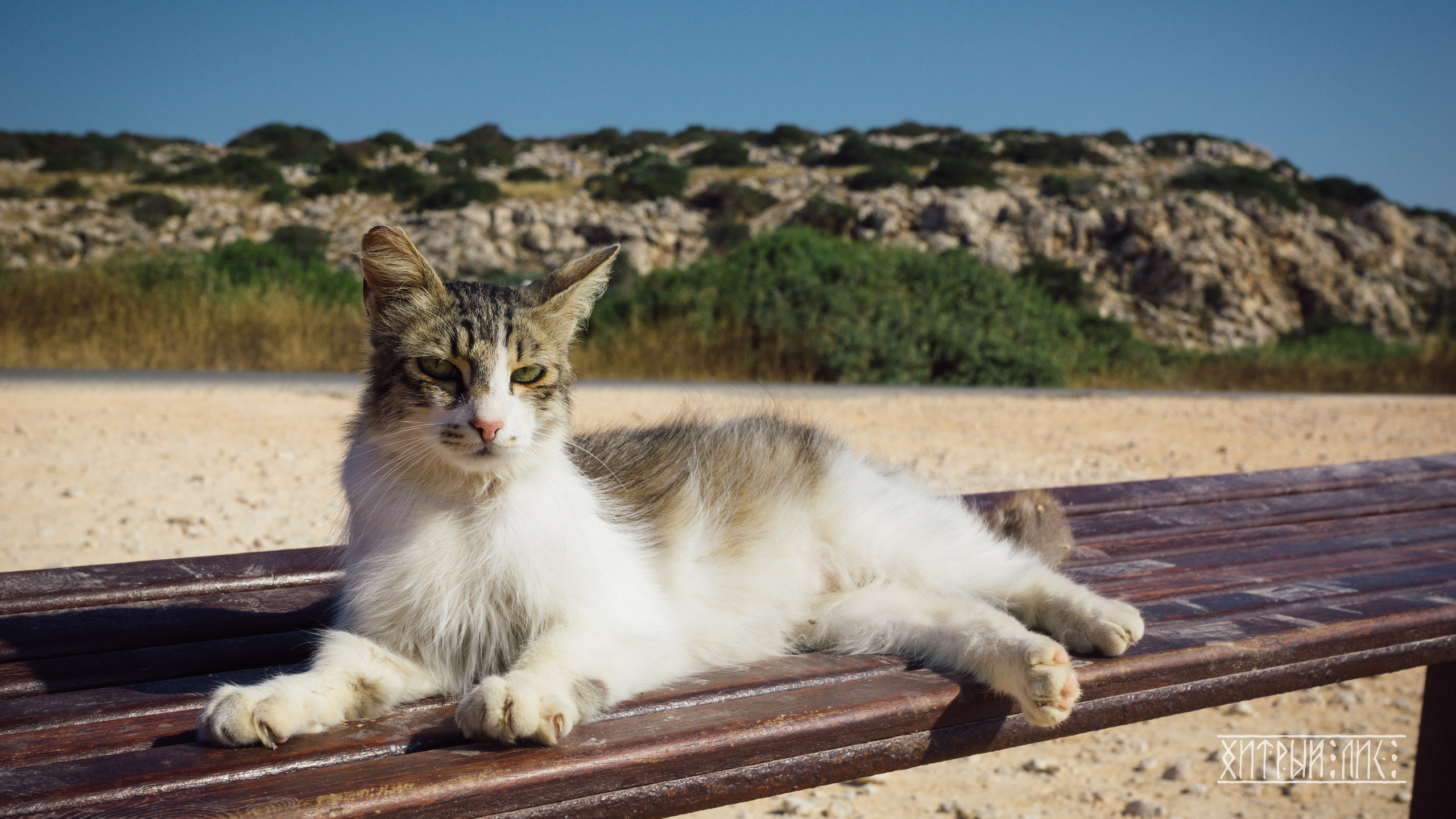 Кипр. Фотограф-путешественник Самойлов Максим «Sly Fox»