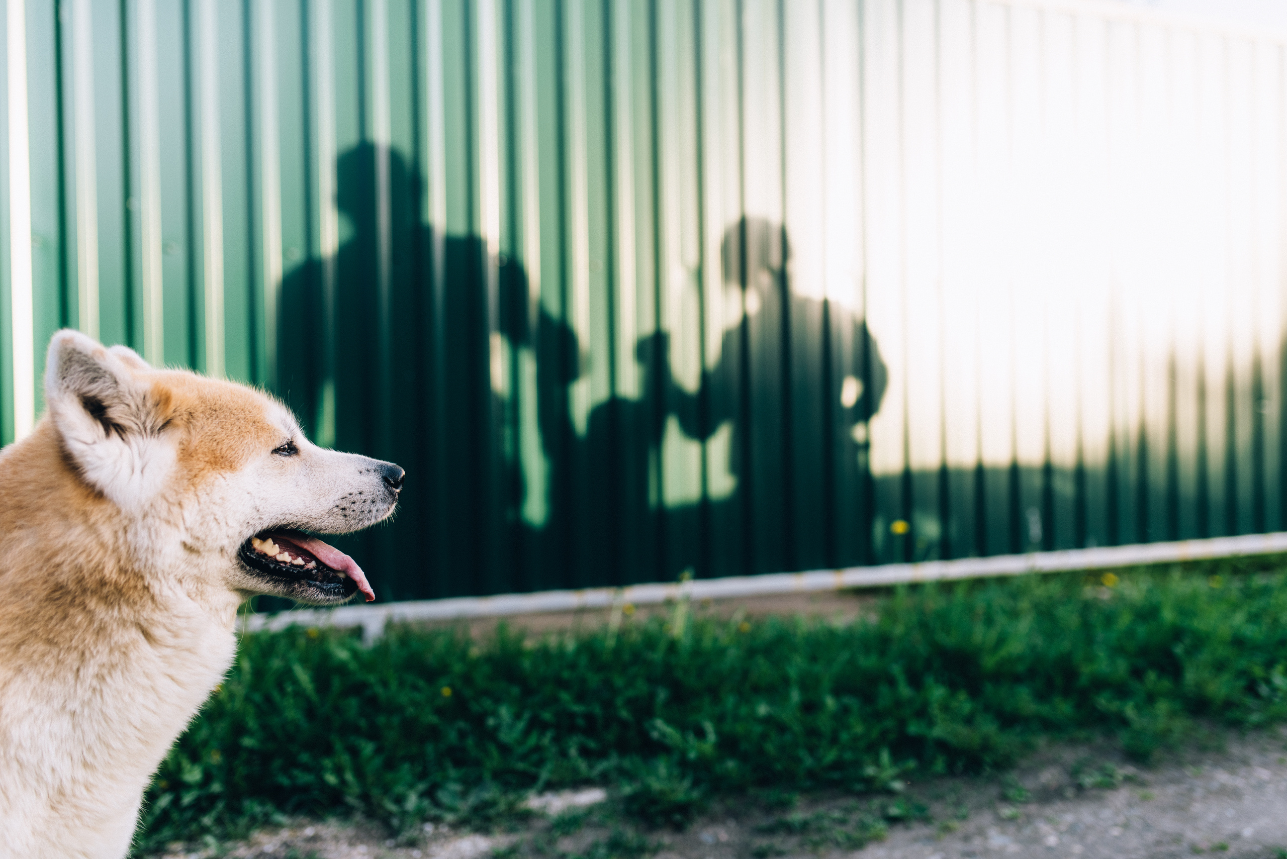 7'я. Профессиональный фотограф Алексей Васенцев. Минск, СПБ, Москва