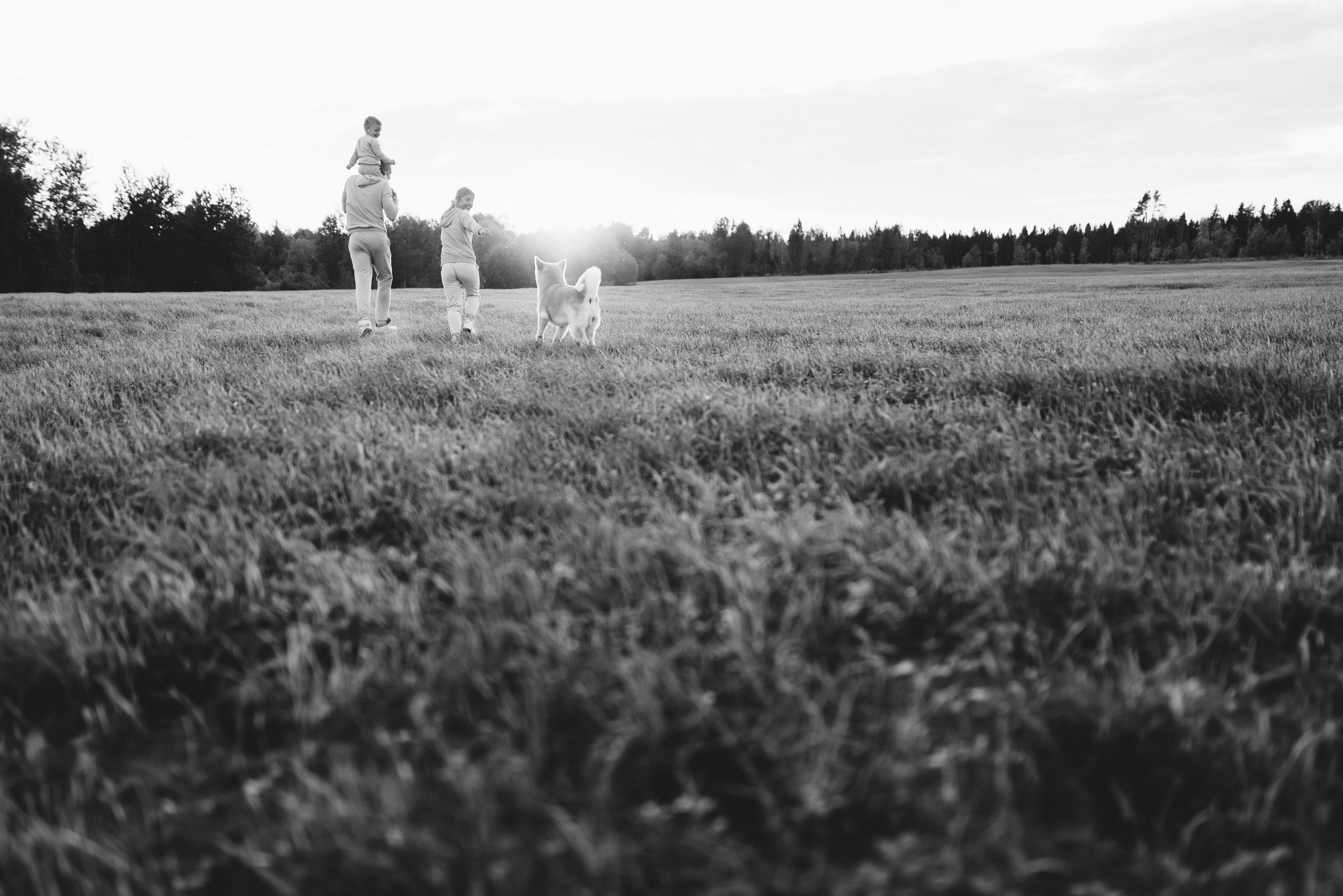 7'я. Профессиональный фотограф Алексей Васенцев. Минск, СПБ, Москва