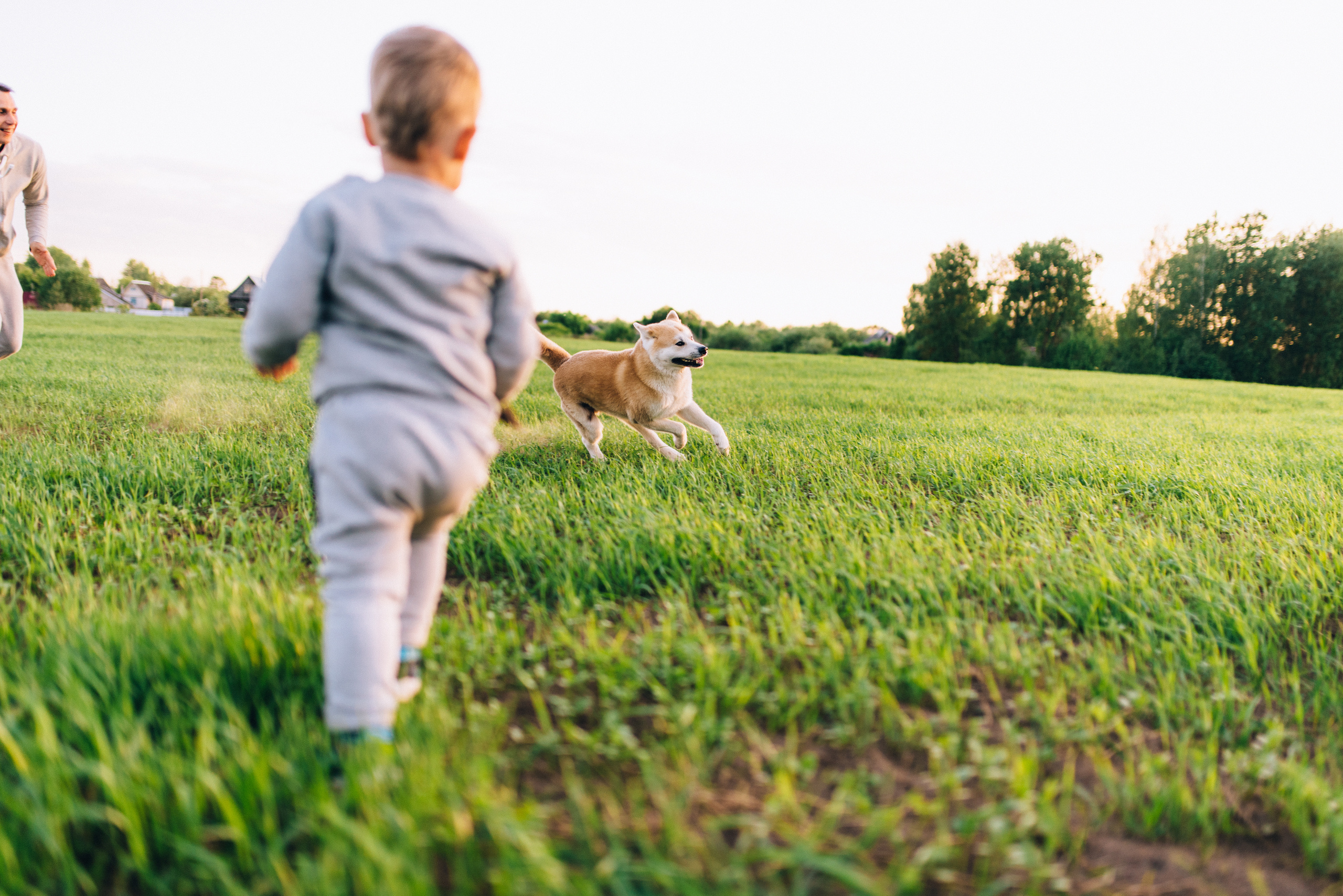 7'я. Профессиональный фотограф Алексей Васенцев. Минск, СПБ, Москва