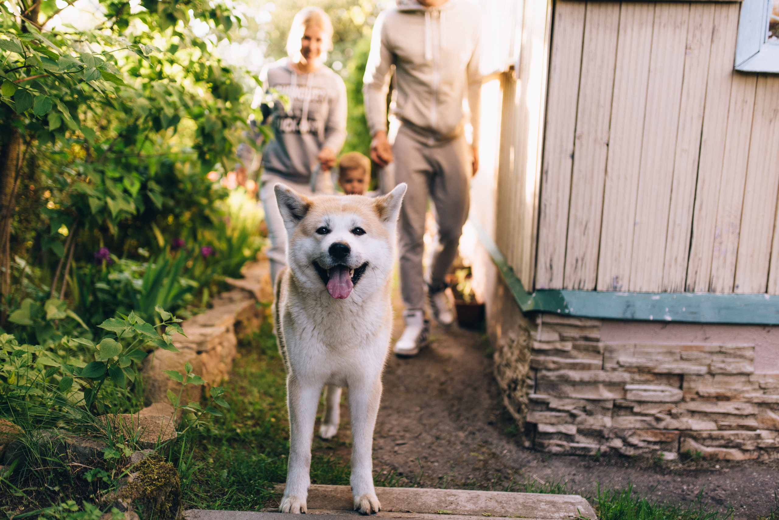 7'я. Профессиональный фотограф Алексей Васенцев. Минск, СПБ, Москва