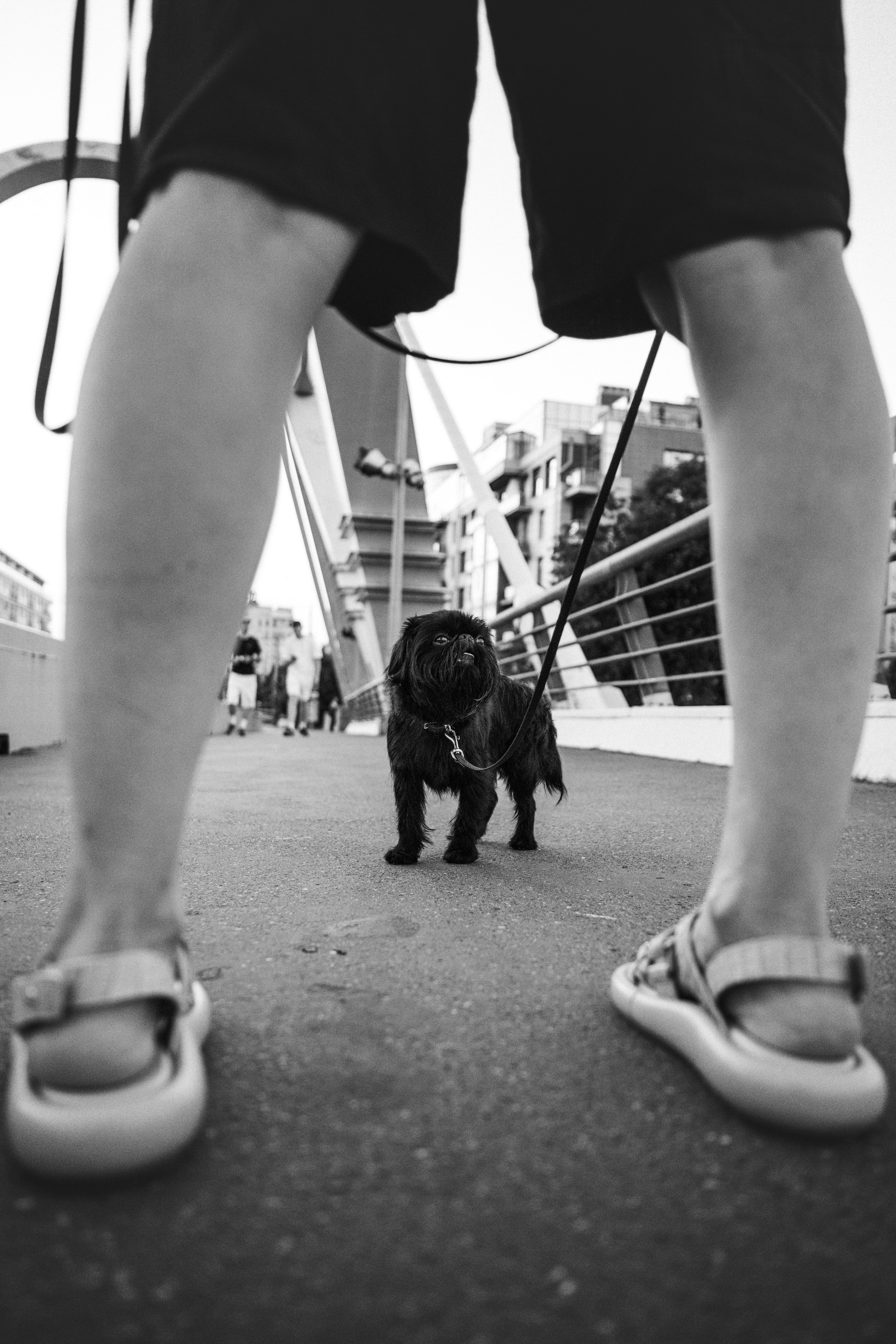 Ася и Кузя. Фотограф анималист Осипчикова Мария