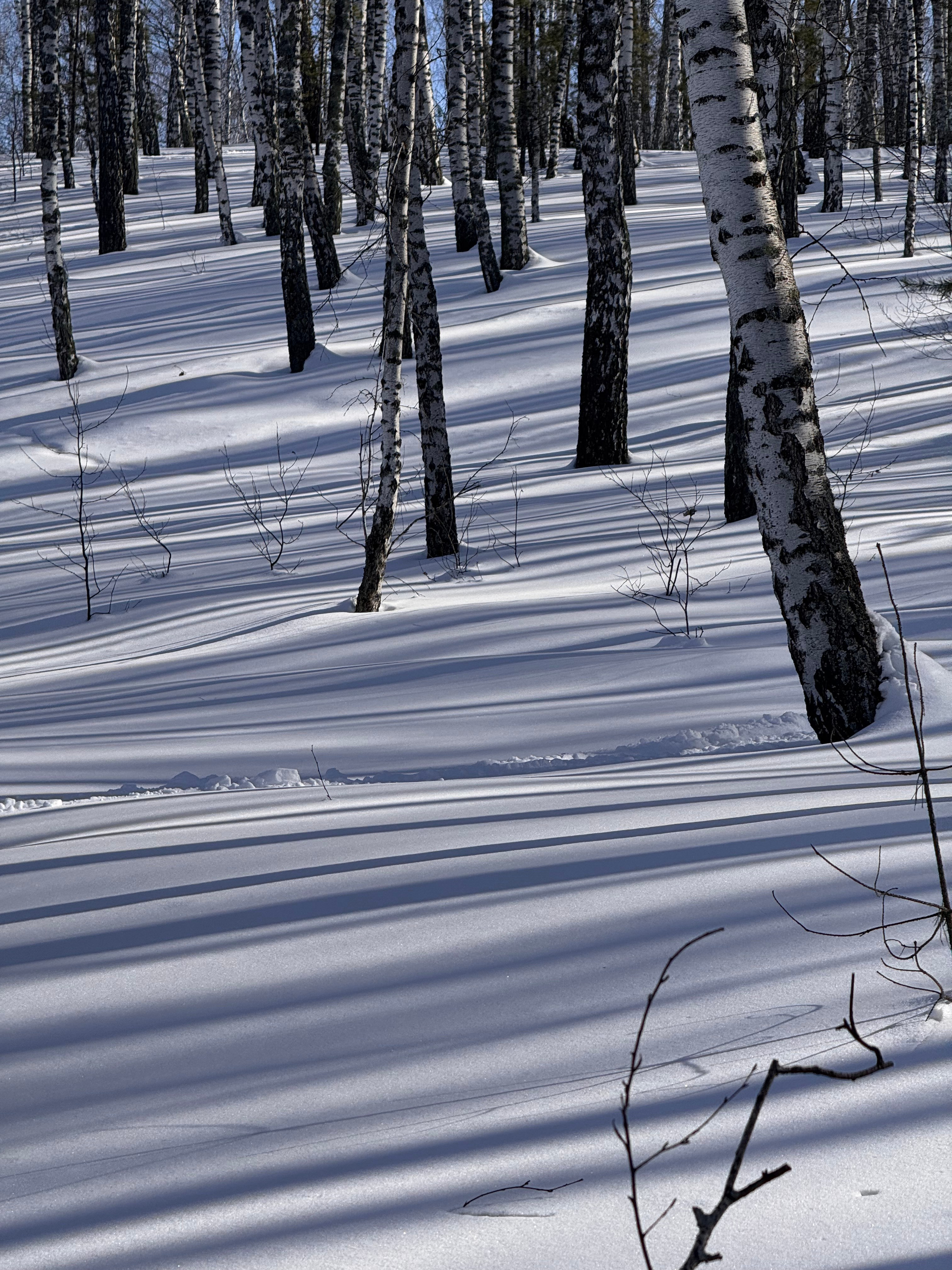 Природа. Главная