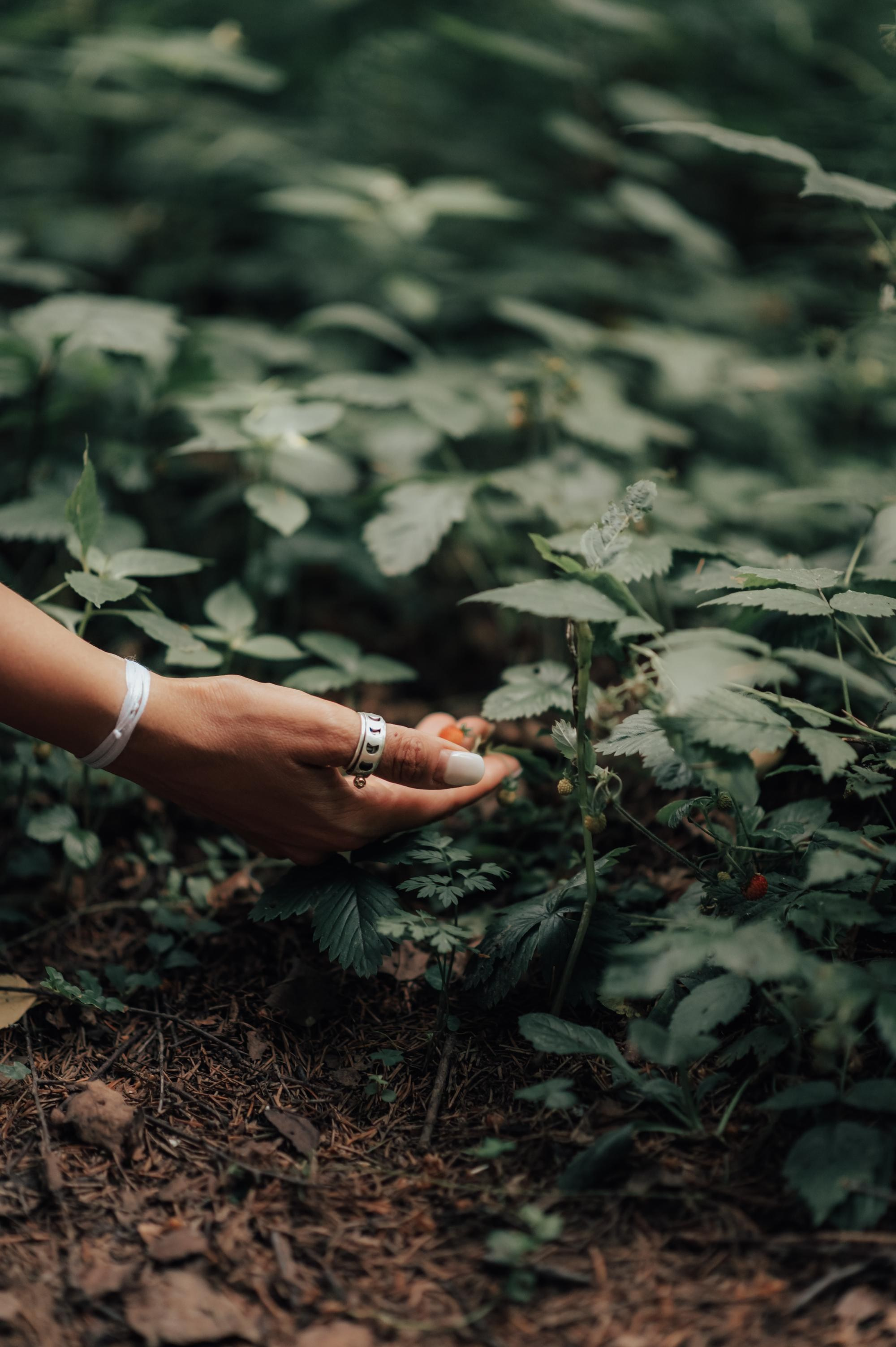 Девичник. Свадебный фотограф в Москве Юлия Лисой