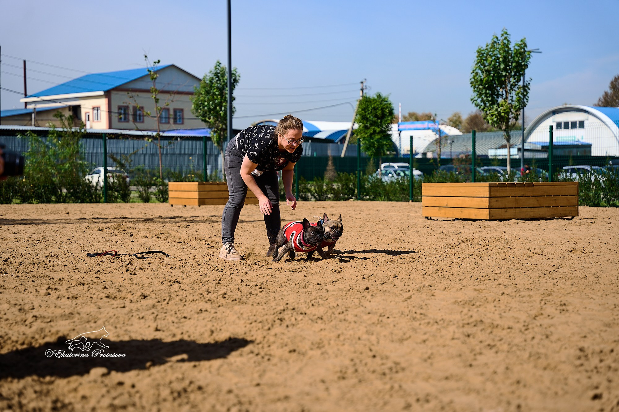 Питстафф многоборье. Фотограф-анималист в Иркутске