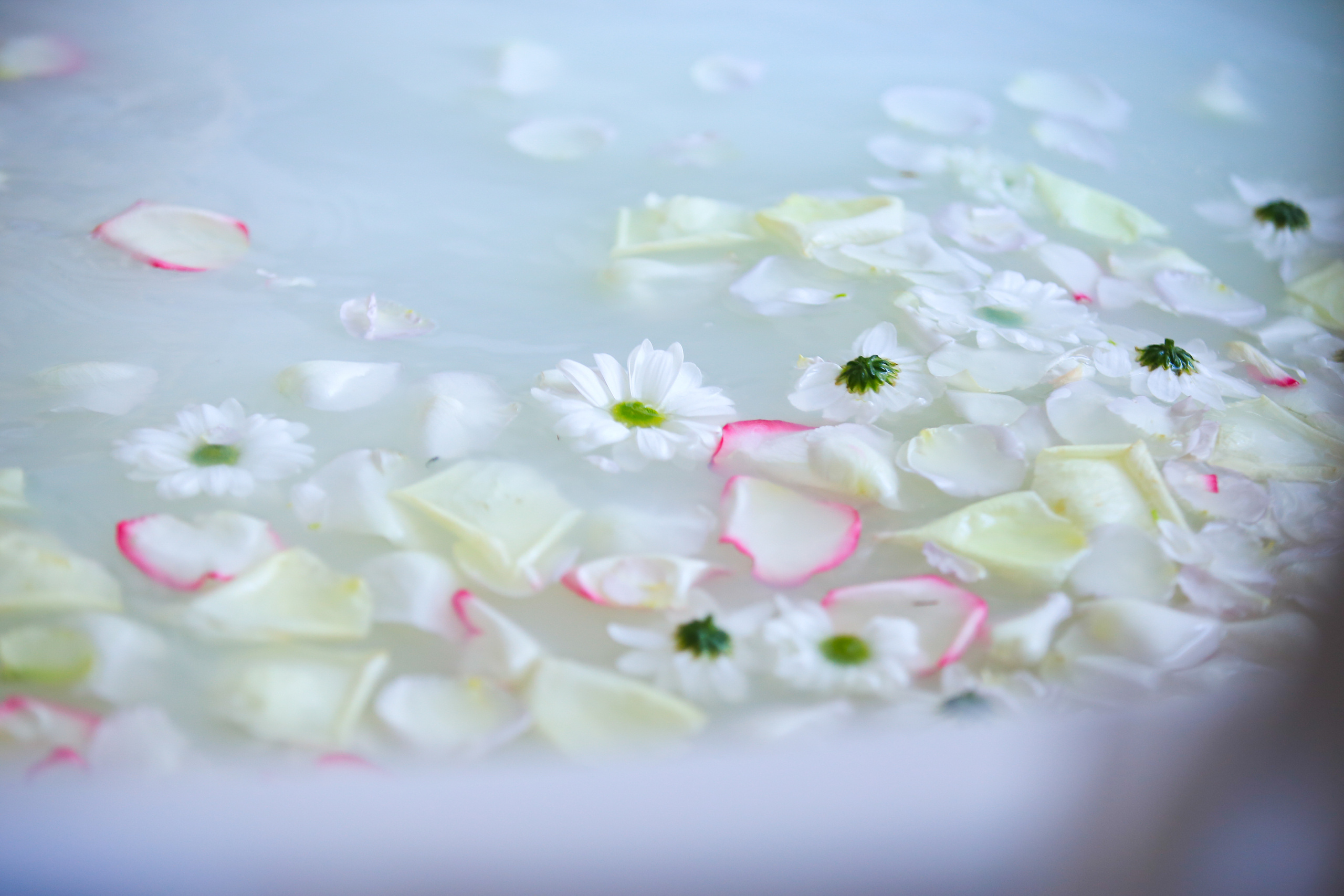 ФОТОСЕССИИ В СТУДИИ. Спортивный и семейный фотограф в Екатеринбурге Ольга Горбунова меня