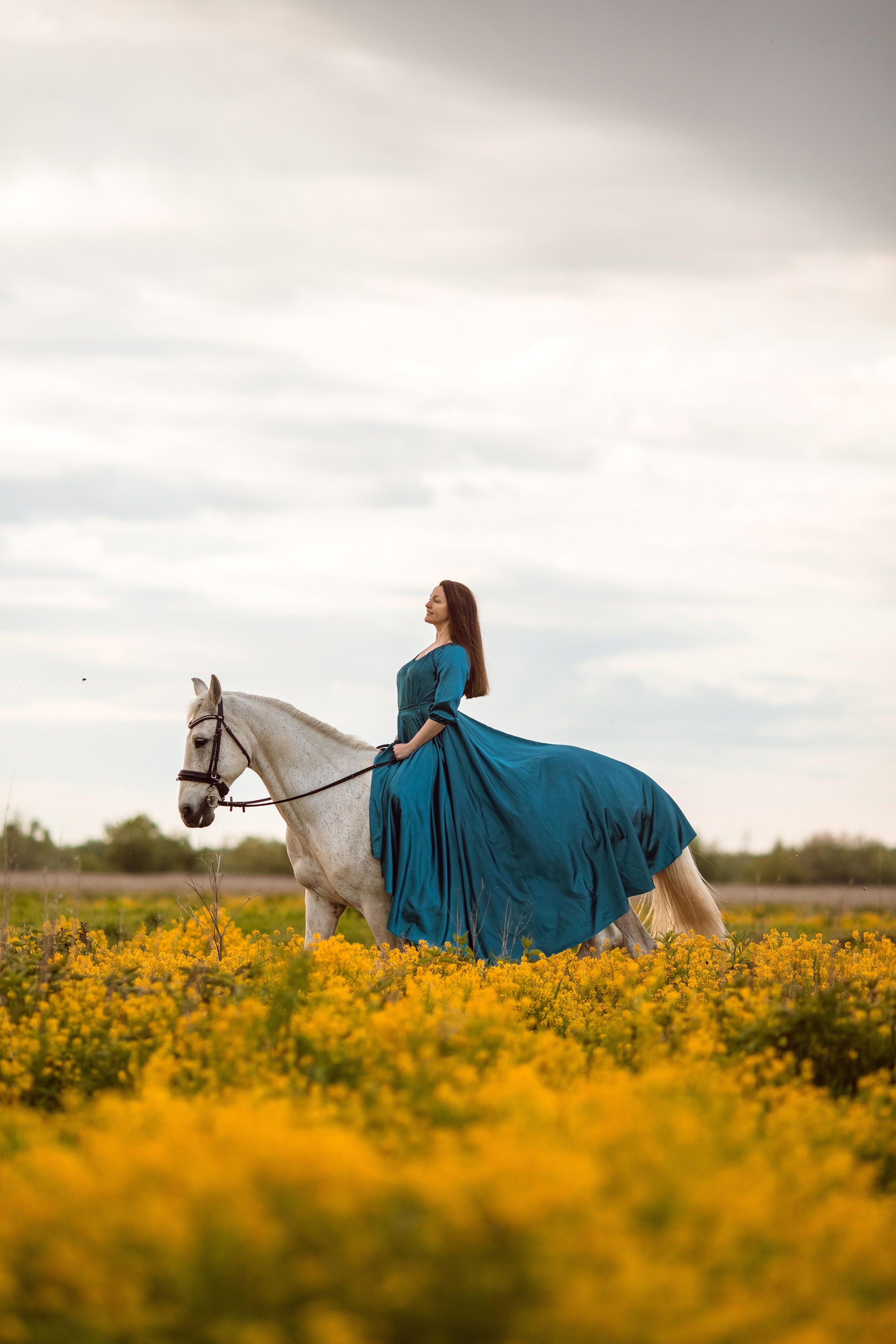 Фотосессия с лошадью в желтом цветущем поле