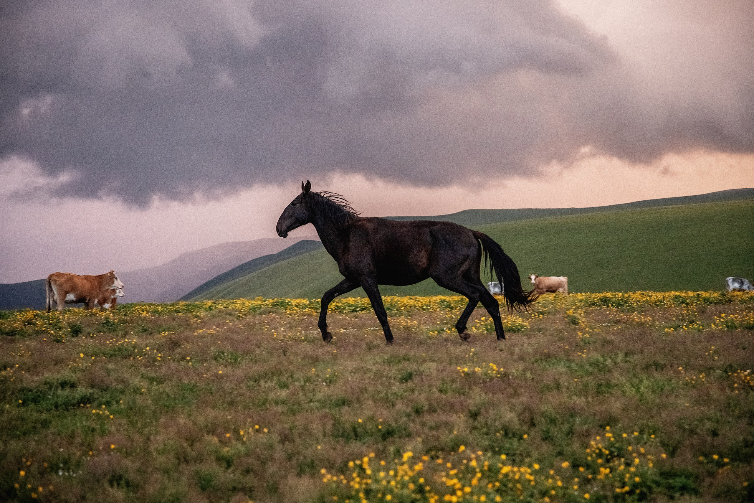 Плато Бийчесын. BrisArts