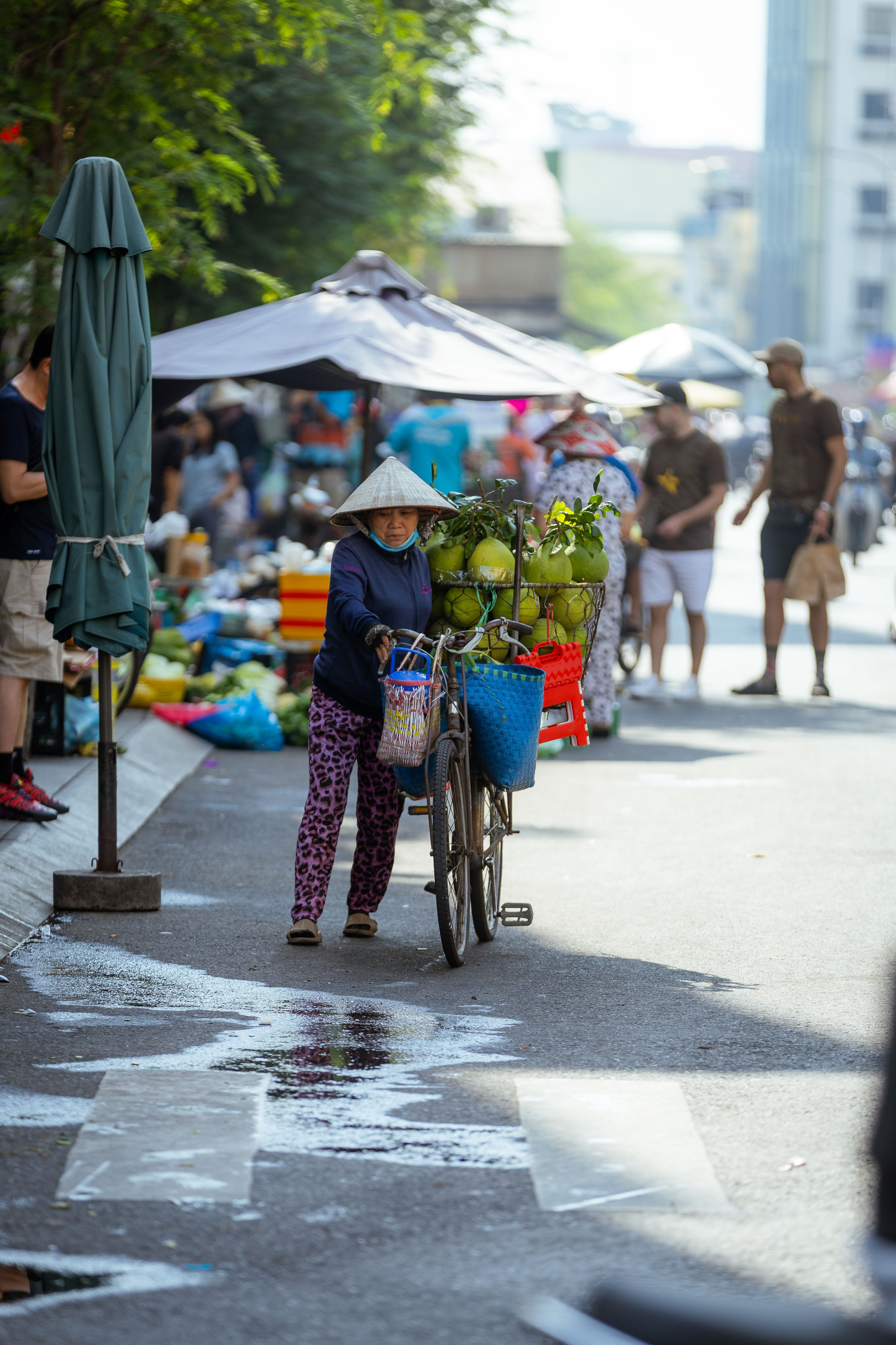 Вьетнам (зима 2025-2026). Фотограф Виноградов Константин